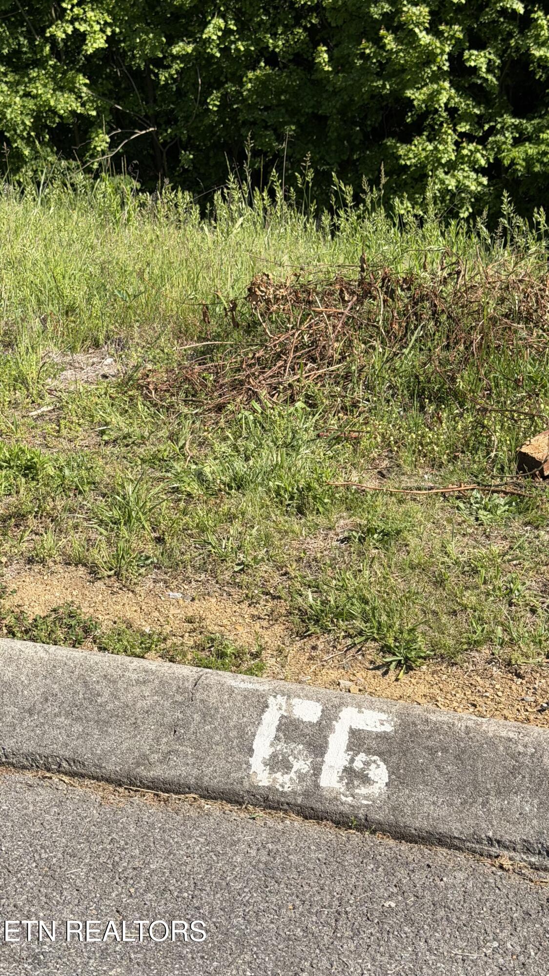 6300 Coves Edge Trail Russellville TN 37860