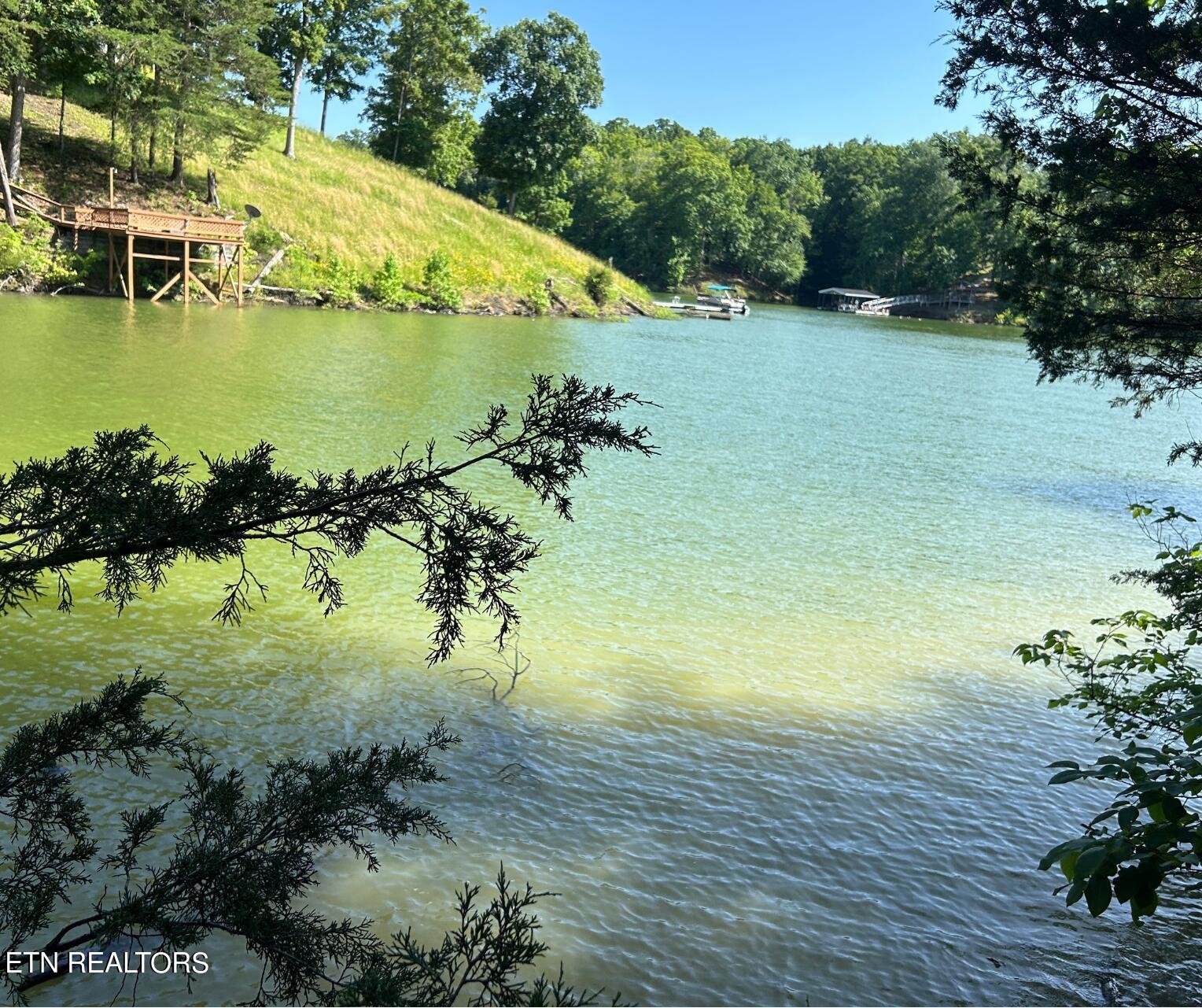 Beechwood Drive Dandridge TN 37725
