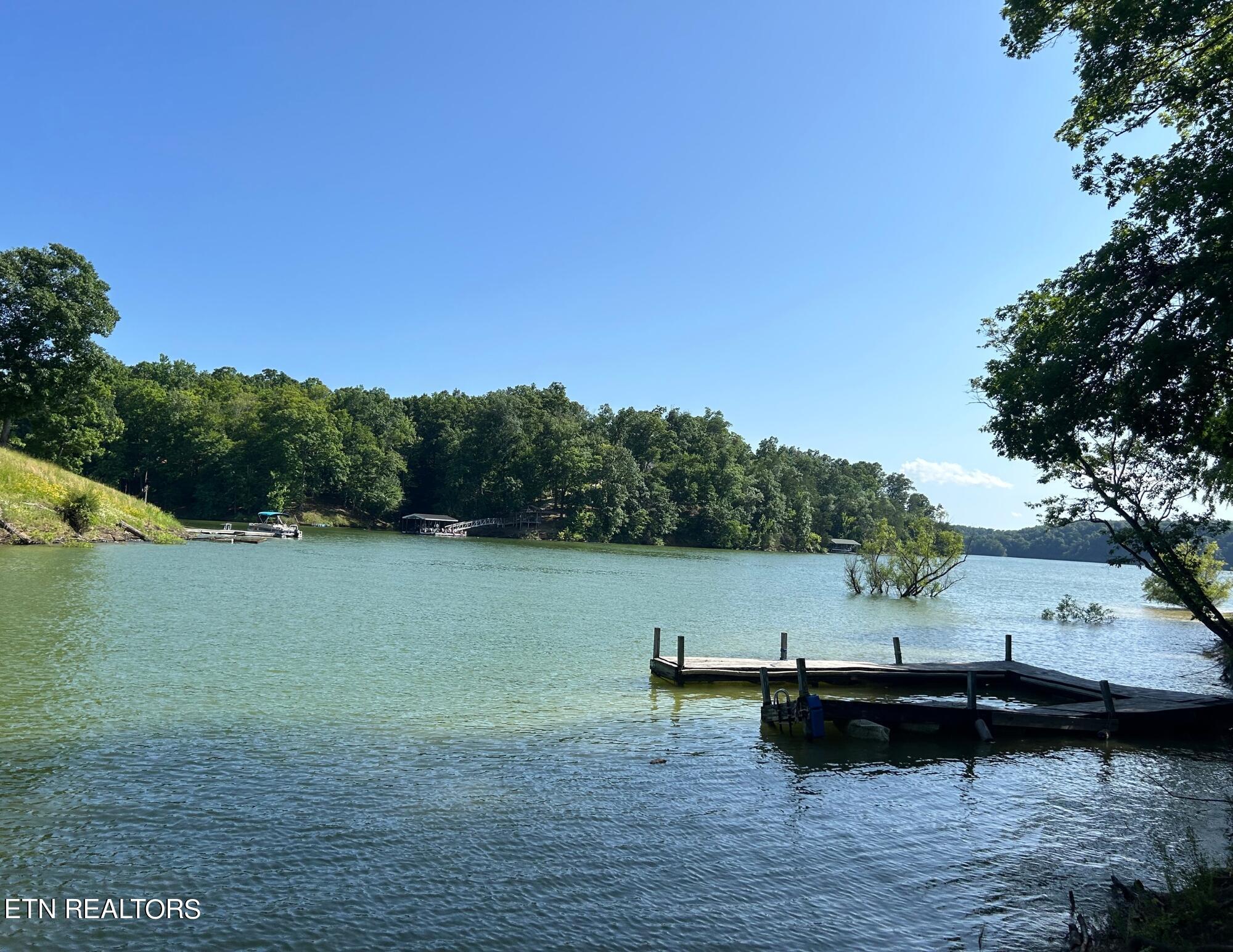 Beechwood Drive Dandridge TN 37725