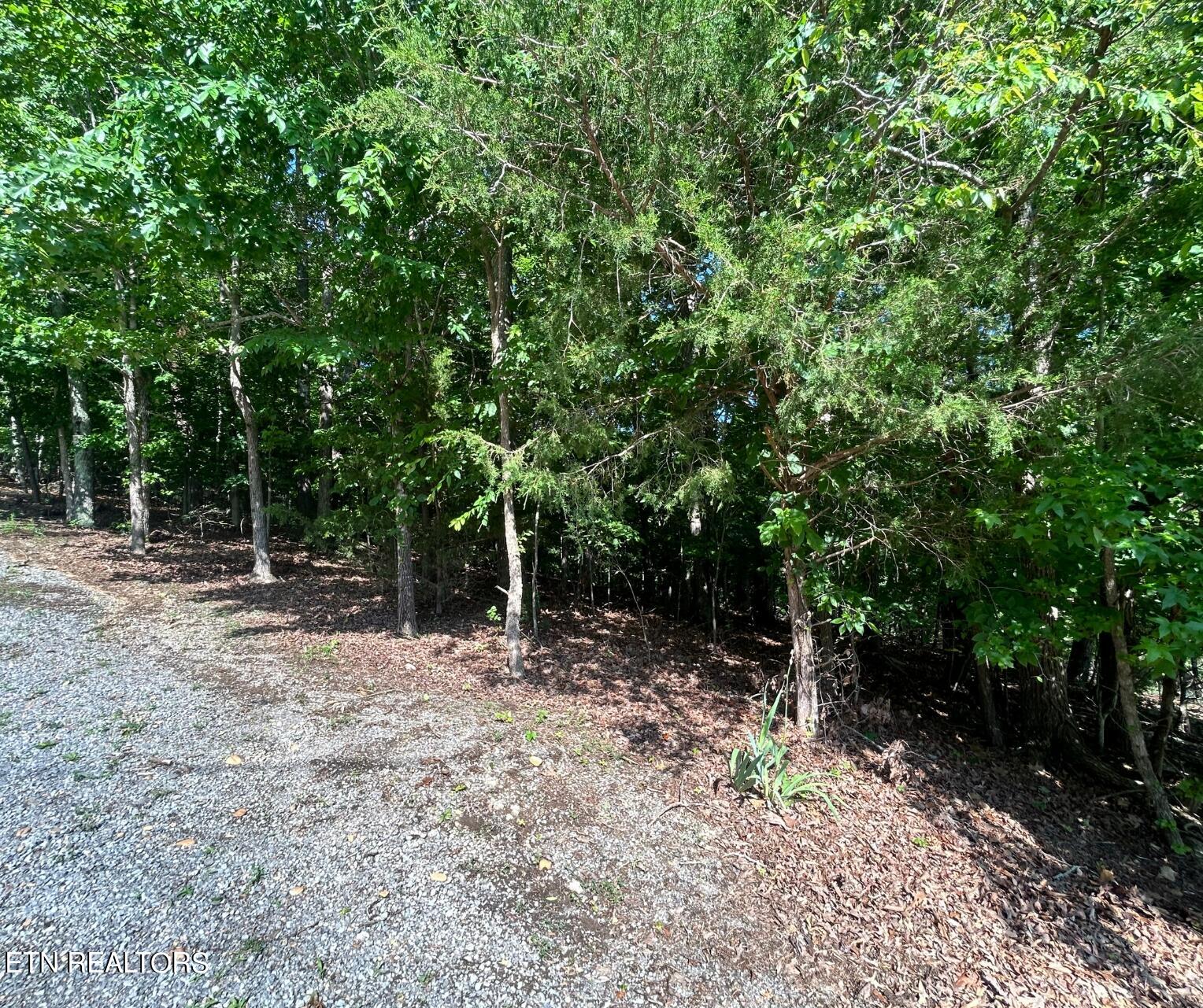 Beechwood Drive Dandridge TN 37725