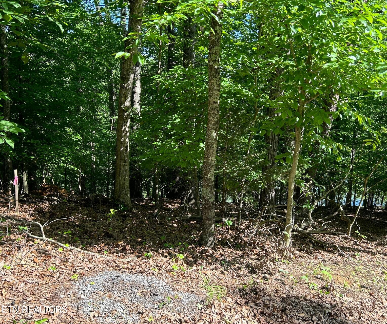 Beechwood Drive Dandridge TN 37725