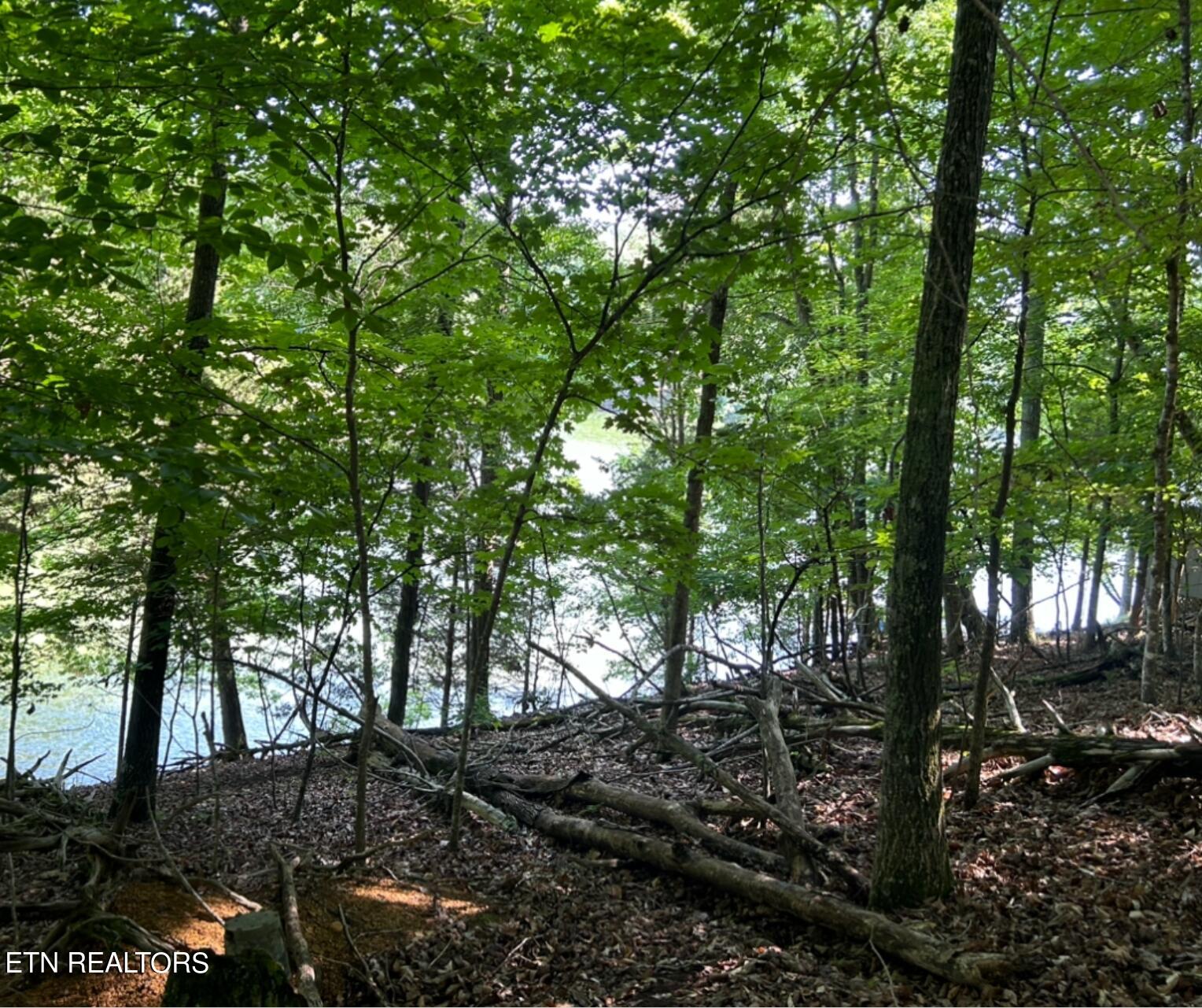 Beechwood Drive Dandridge TN 37725