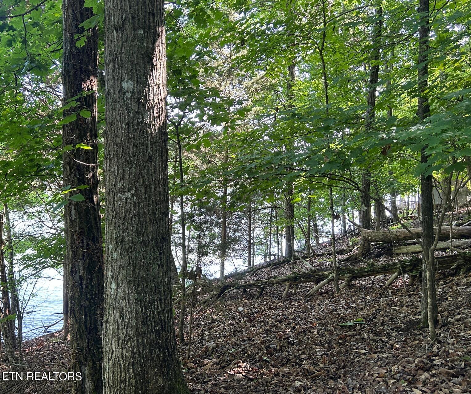 Beechwood Drive Dandridge TN 37725