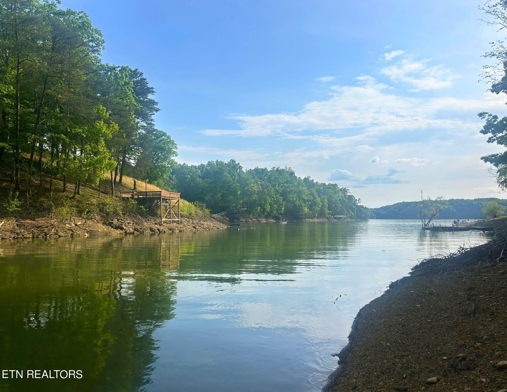 Beechwood Drive Dandridge TN 37725