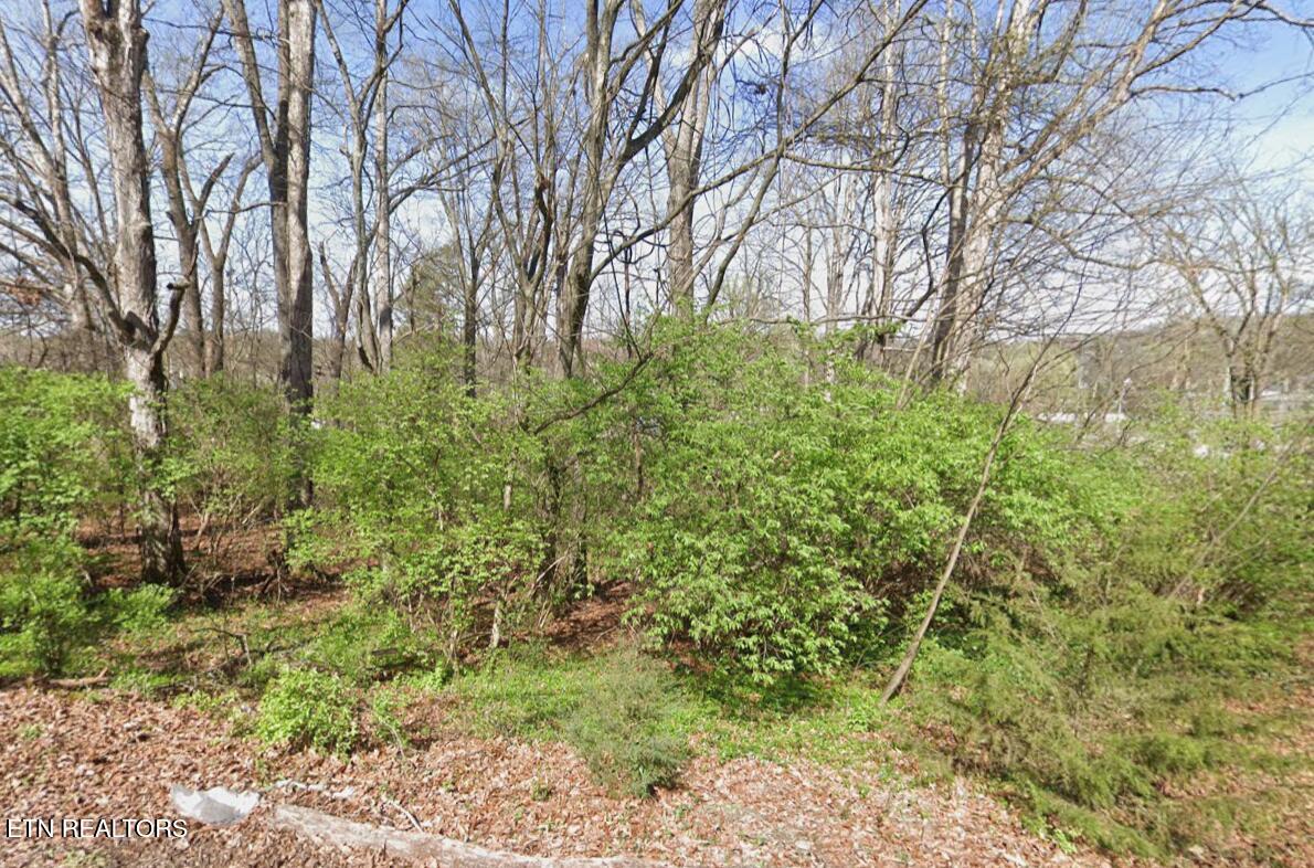 0 Lilac Avenue Knoxville TN 37914