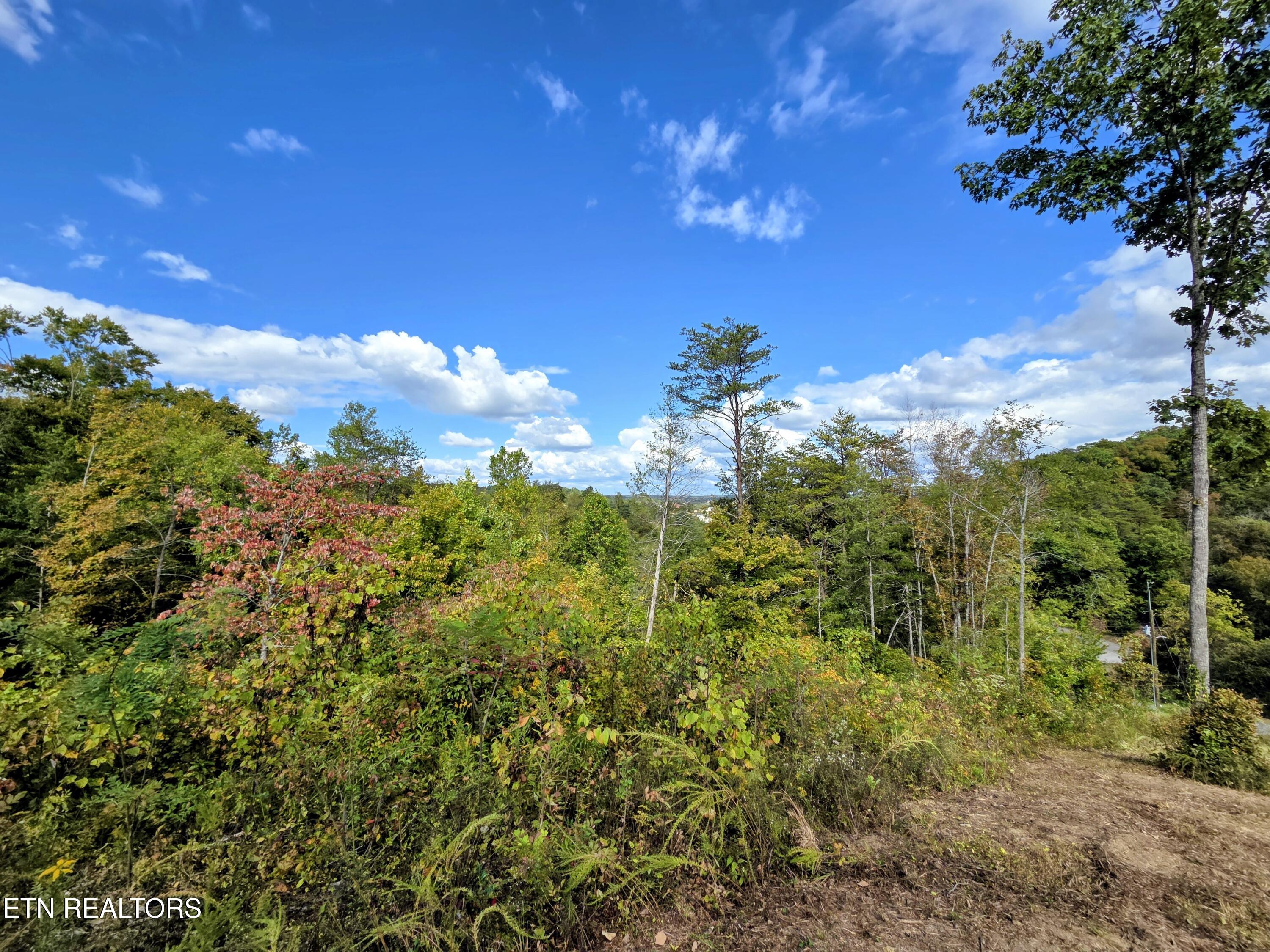 220 Pheasant Court Sevierville TN 37876