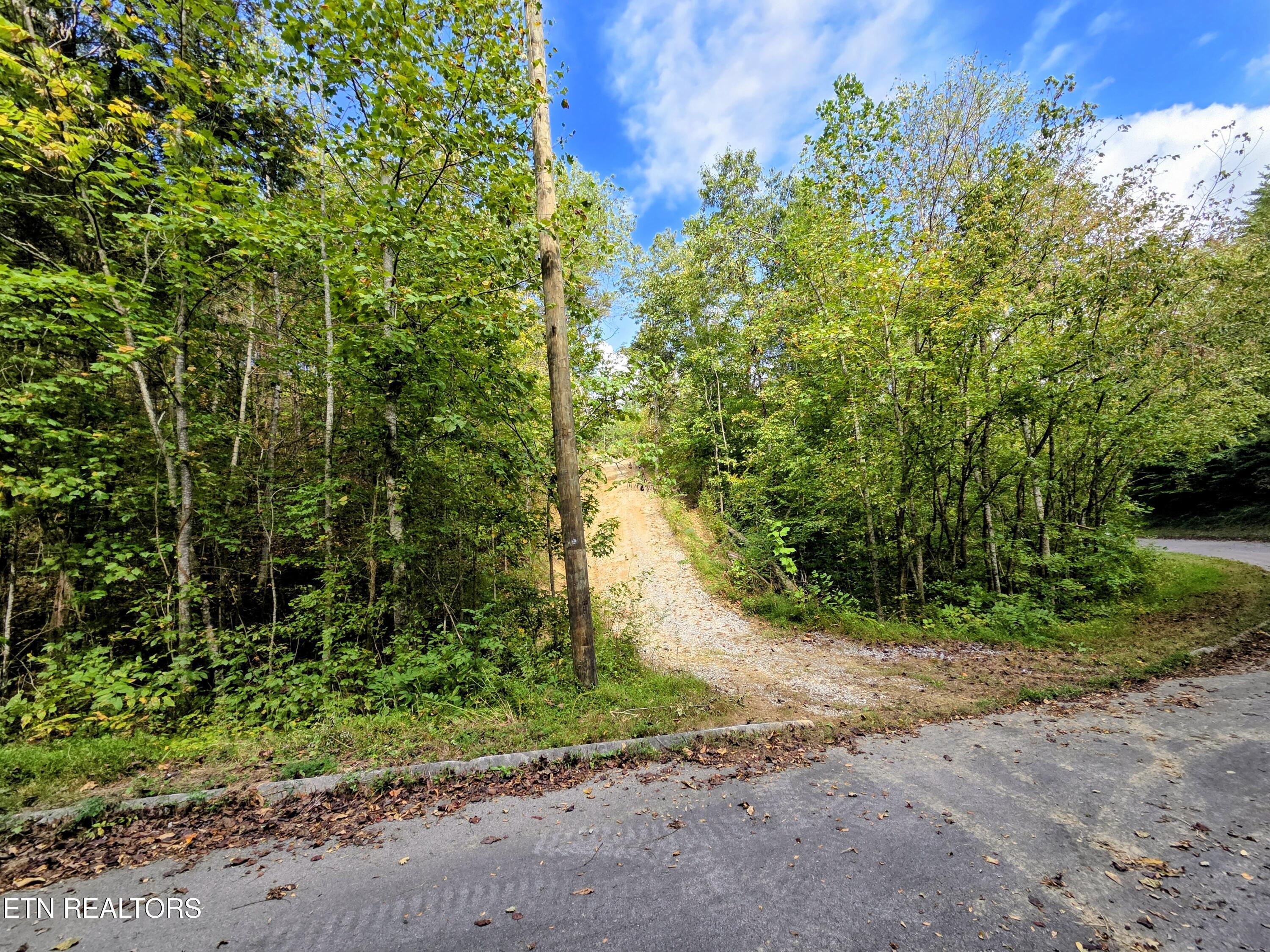 220 Pheasant Court Sevierville TN 37876