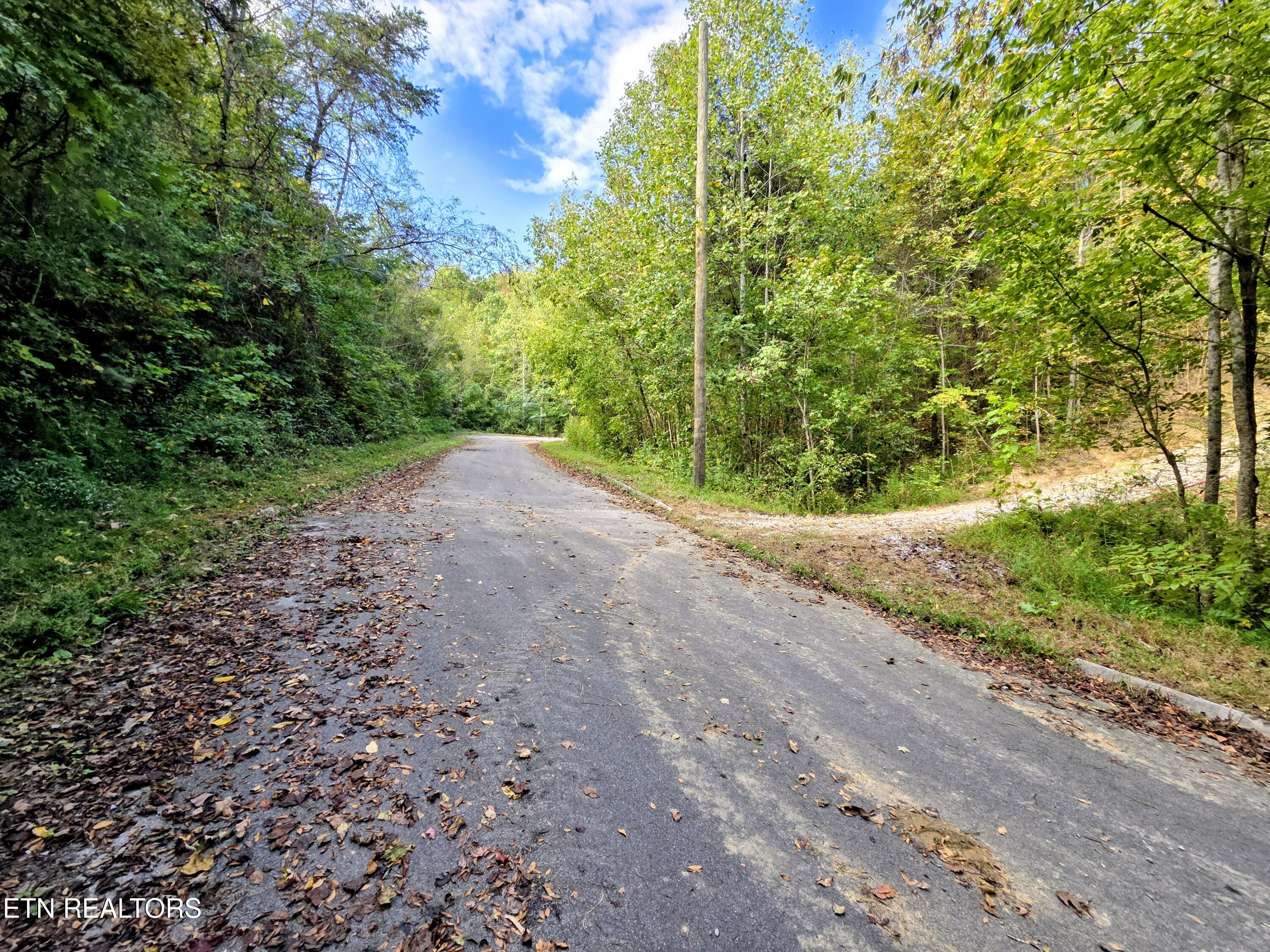 220 Pheasant Court Sevierville TN 37876
