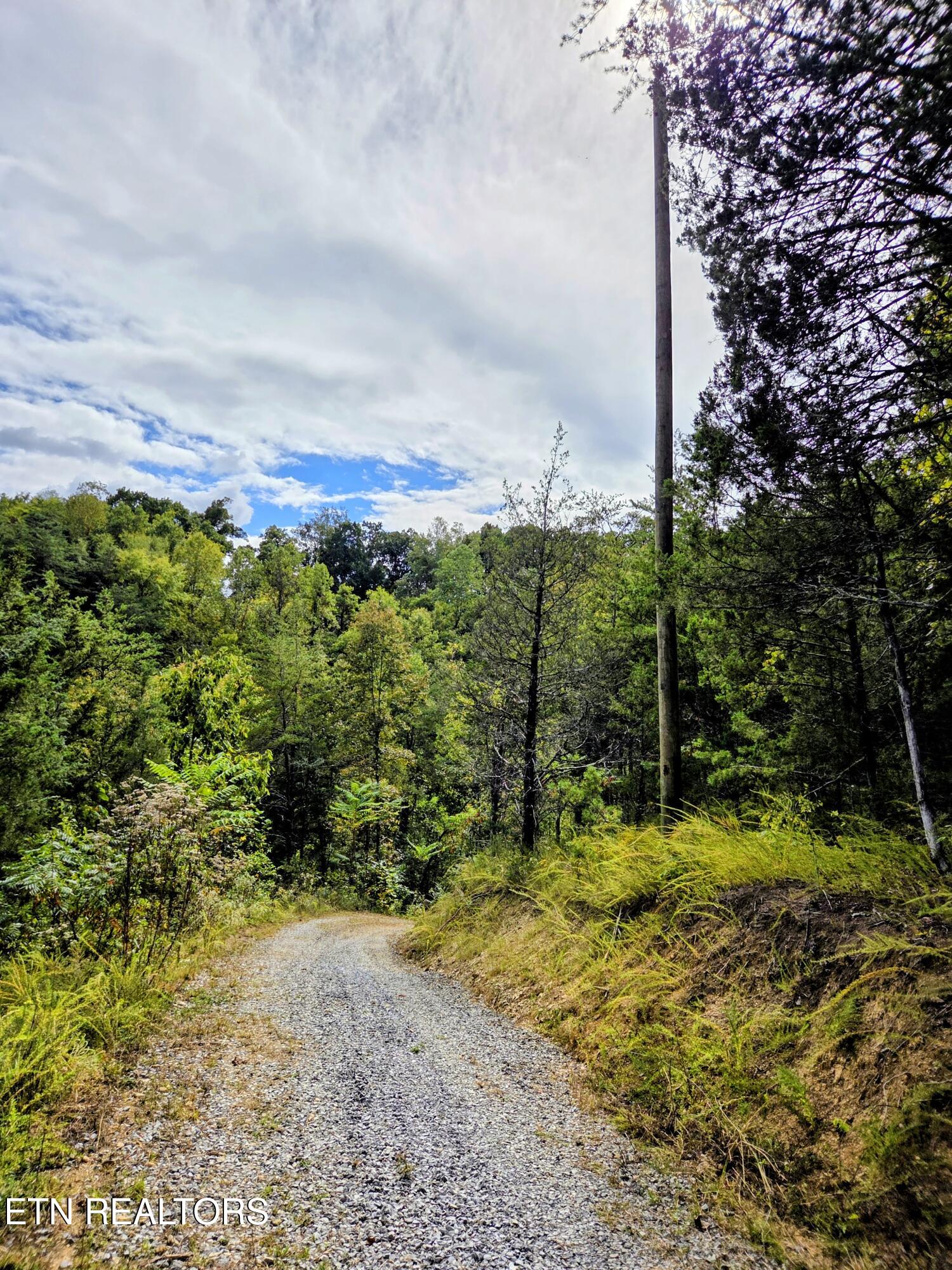 220 Pheasant Court Sevierville TN 37876