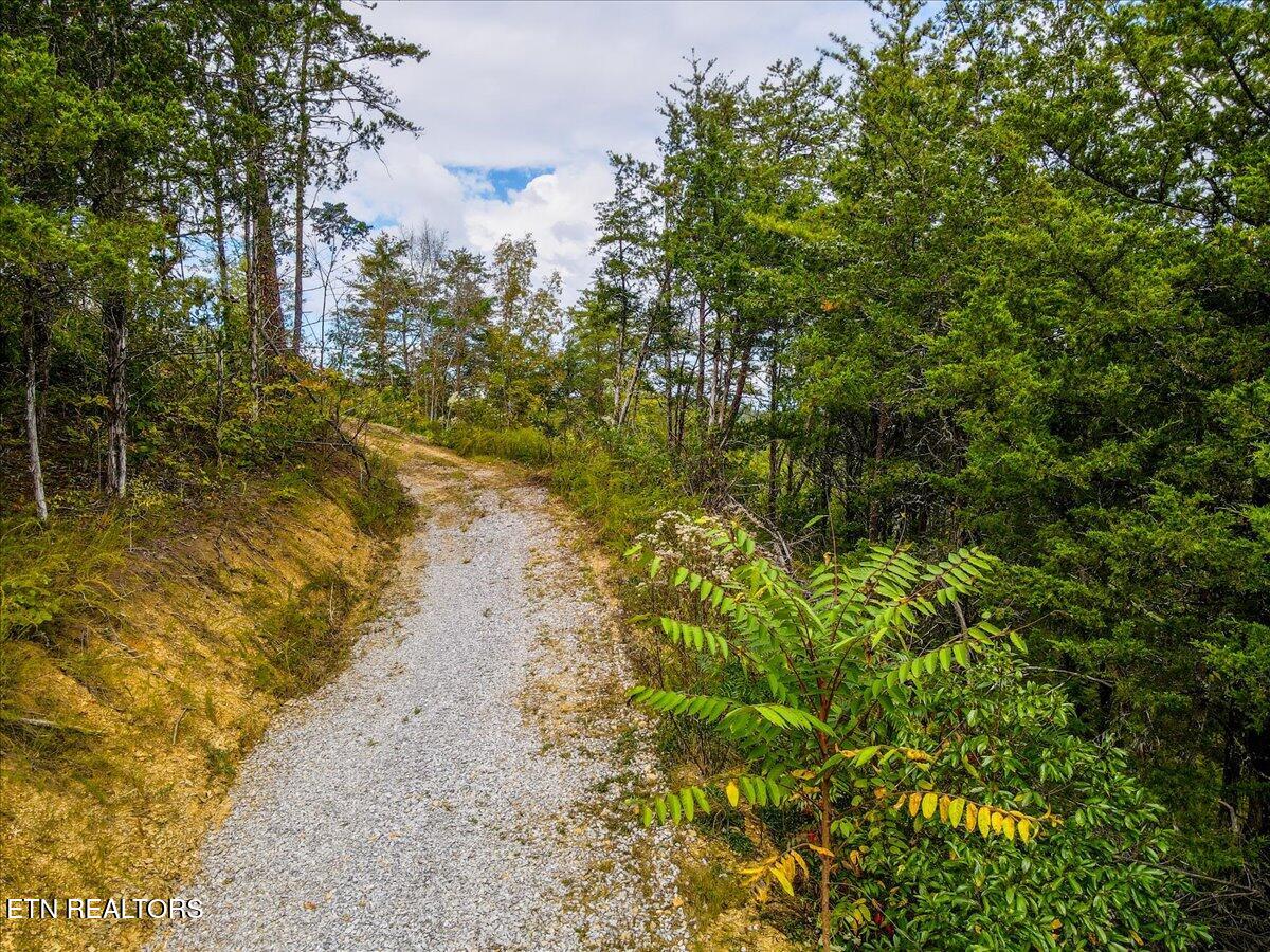 220 Pheasant Court Sevierville TN 37876