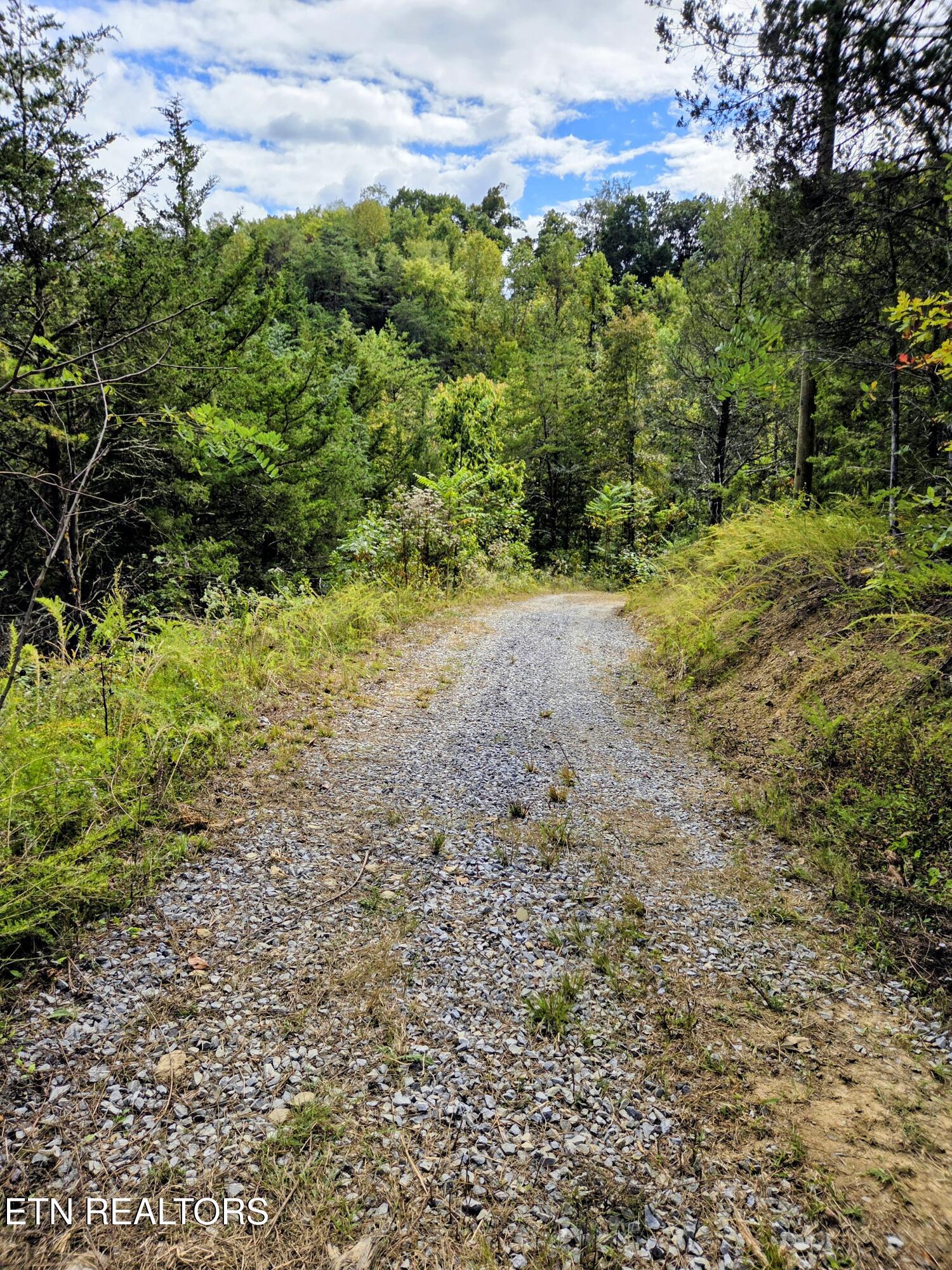 220 Pheasant Court Sevierville TN 37876