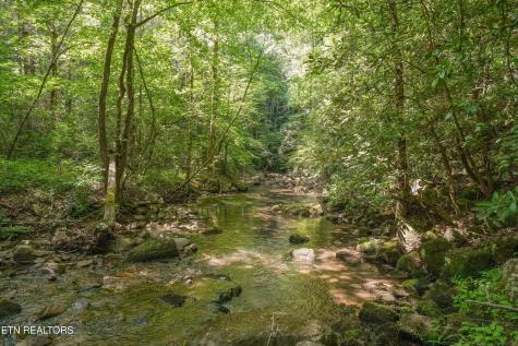 1322 E Millers Cove Road Walland TN 37886