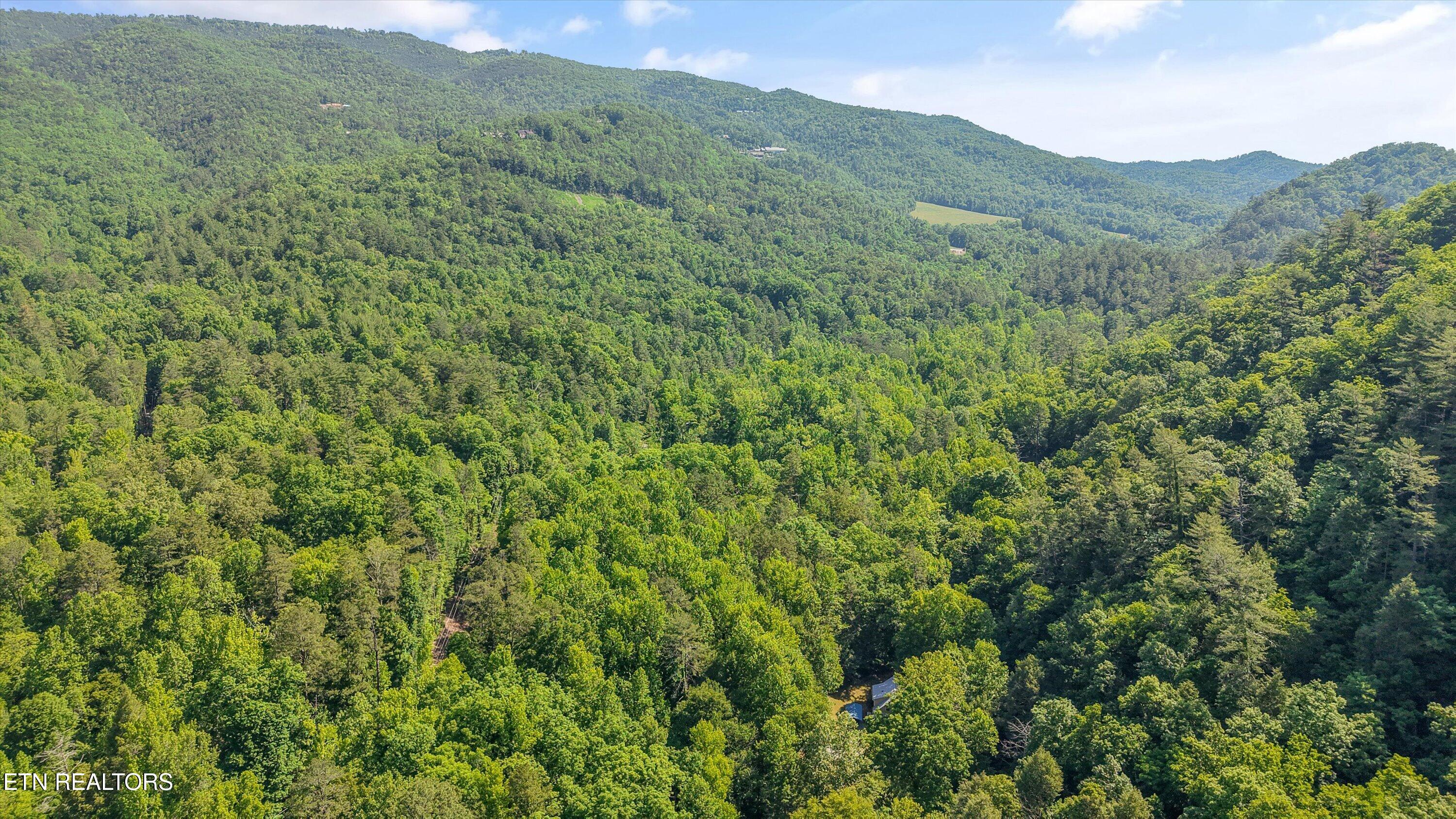 1322 E Millers Cove Road Walland TN 37886