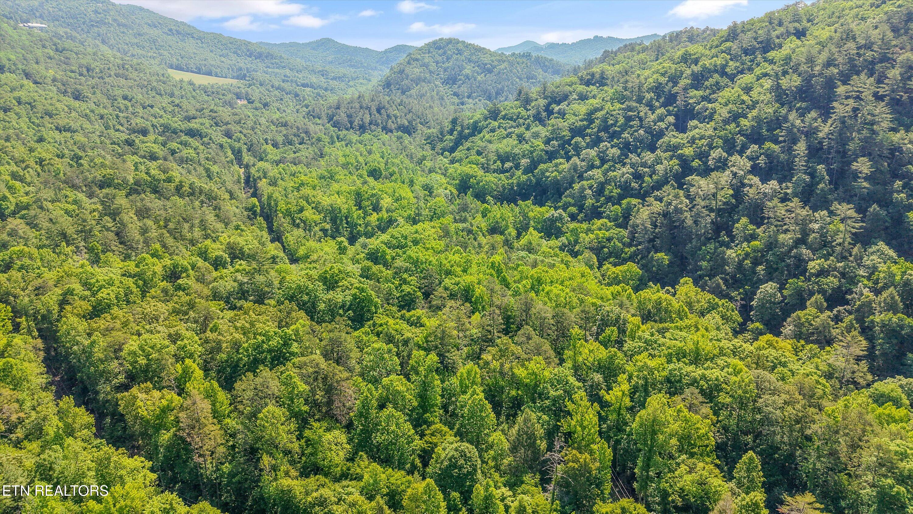 1322 E Millers Cove Road Walland TN 37886