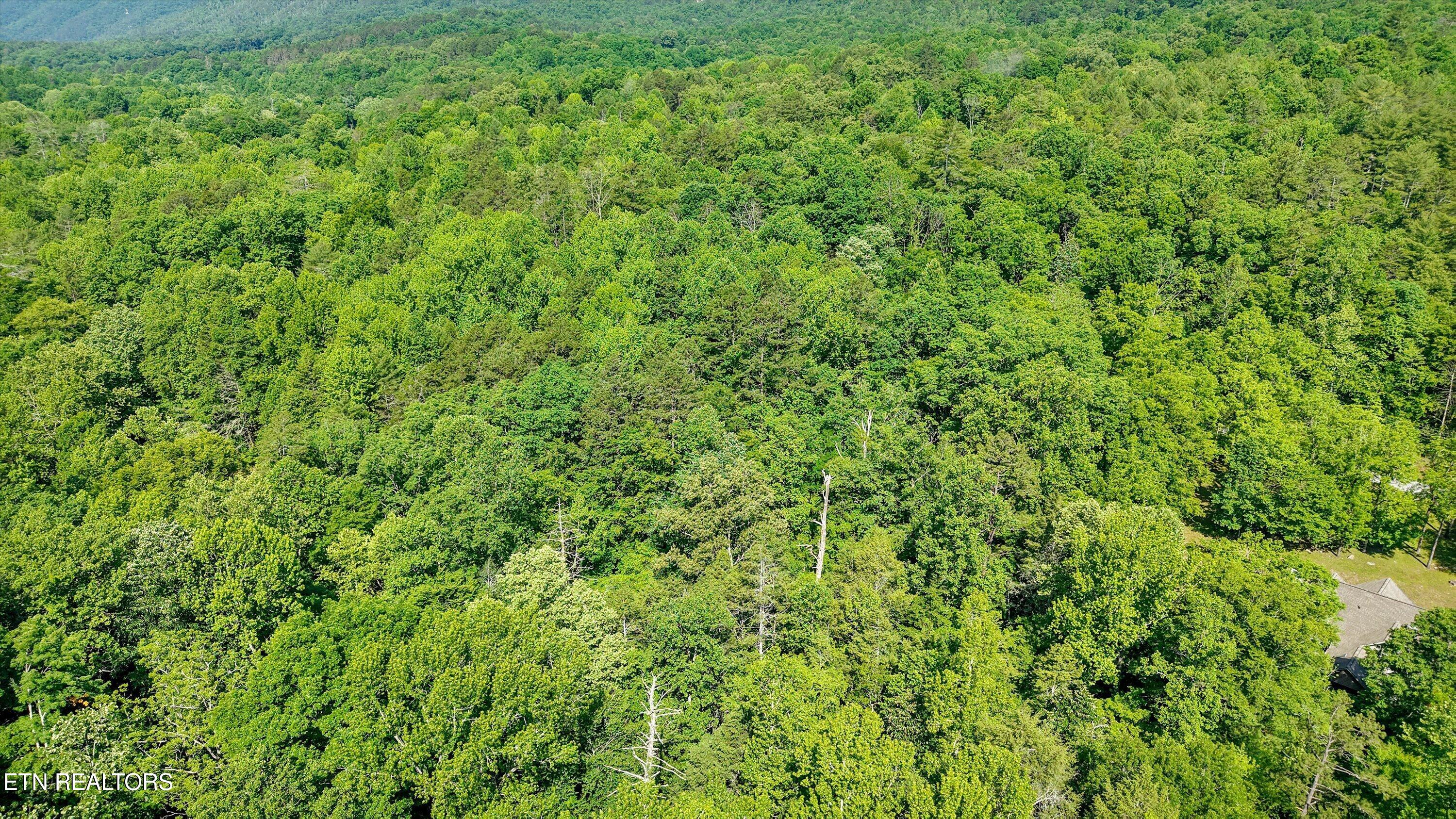 1322 E Millers Cove Road Walland TN 37886
