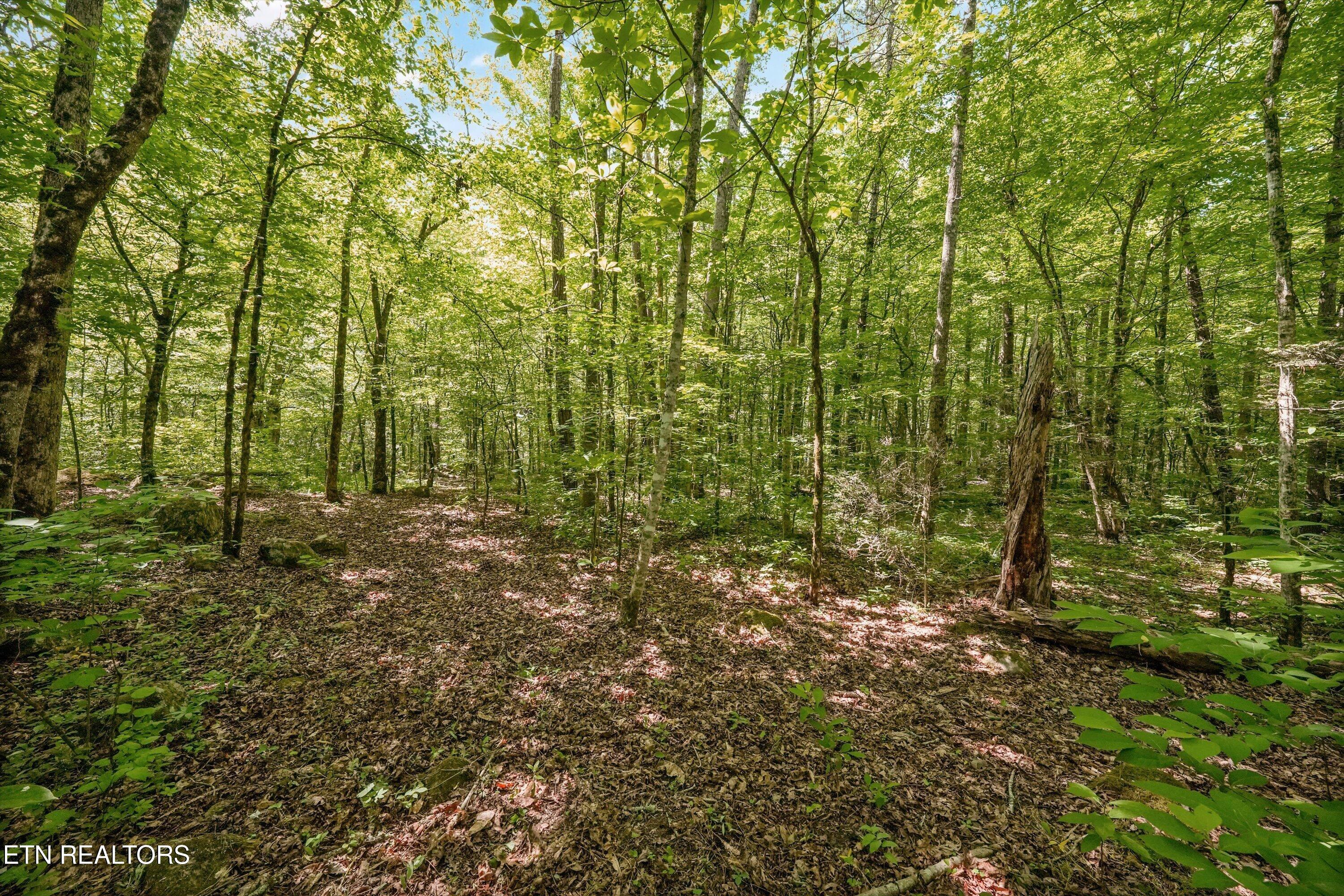 1322 E Millers Cove Road Walland TN 37886