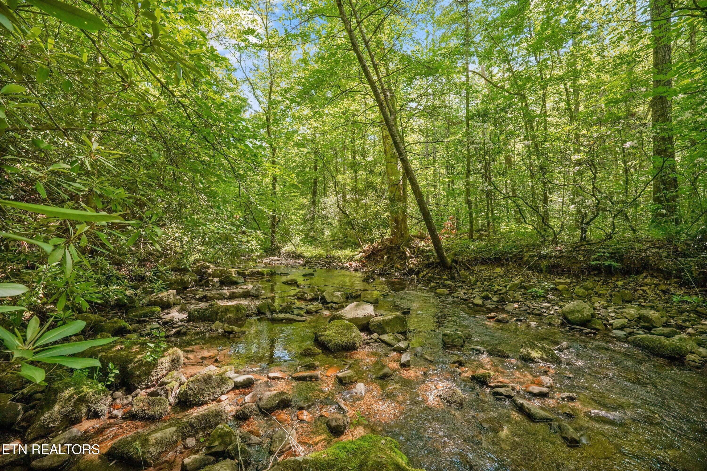 1322 E Millers Cove Road Walland TN 37886
