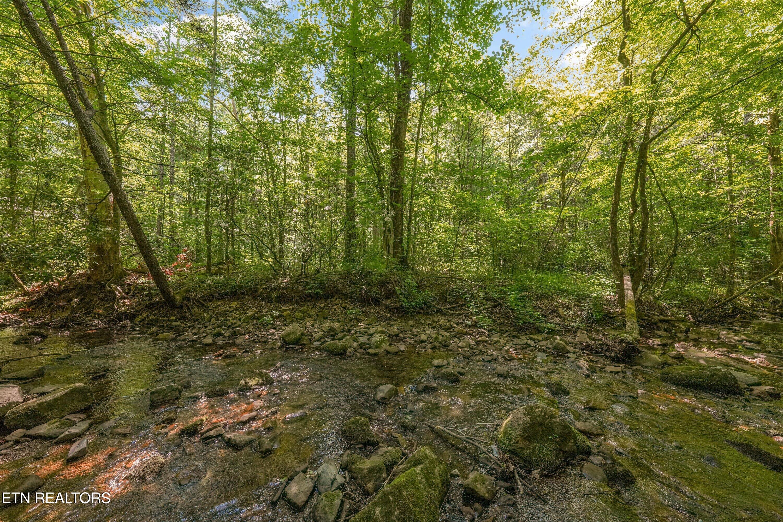 1322 E Millers Cove Road Walland TN 37886