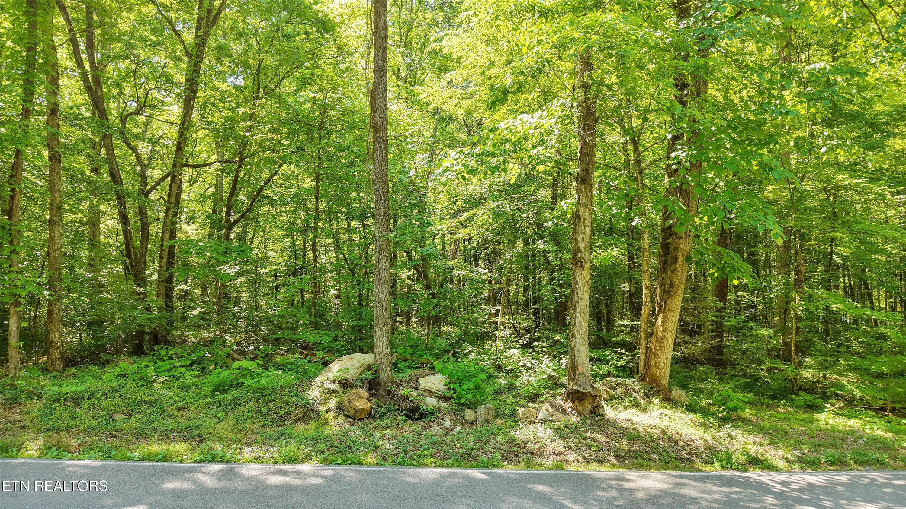 1322 E Millers Cove Road Walland TN 37886
