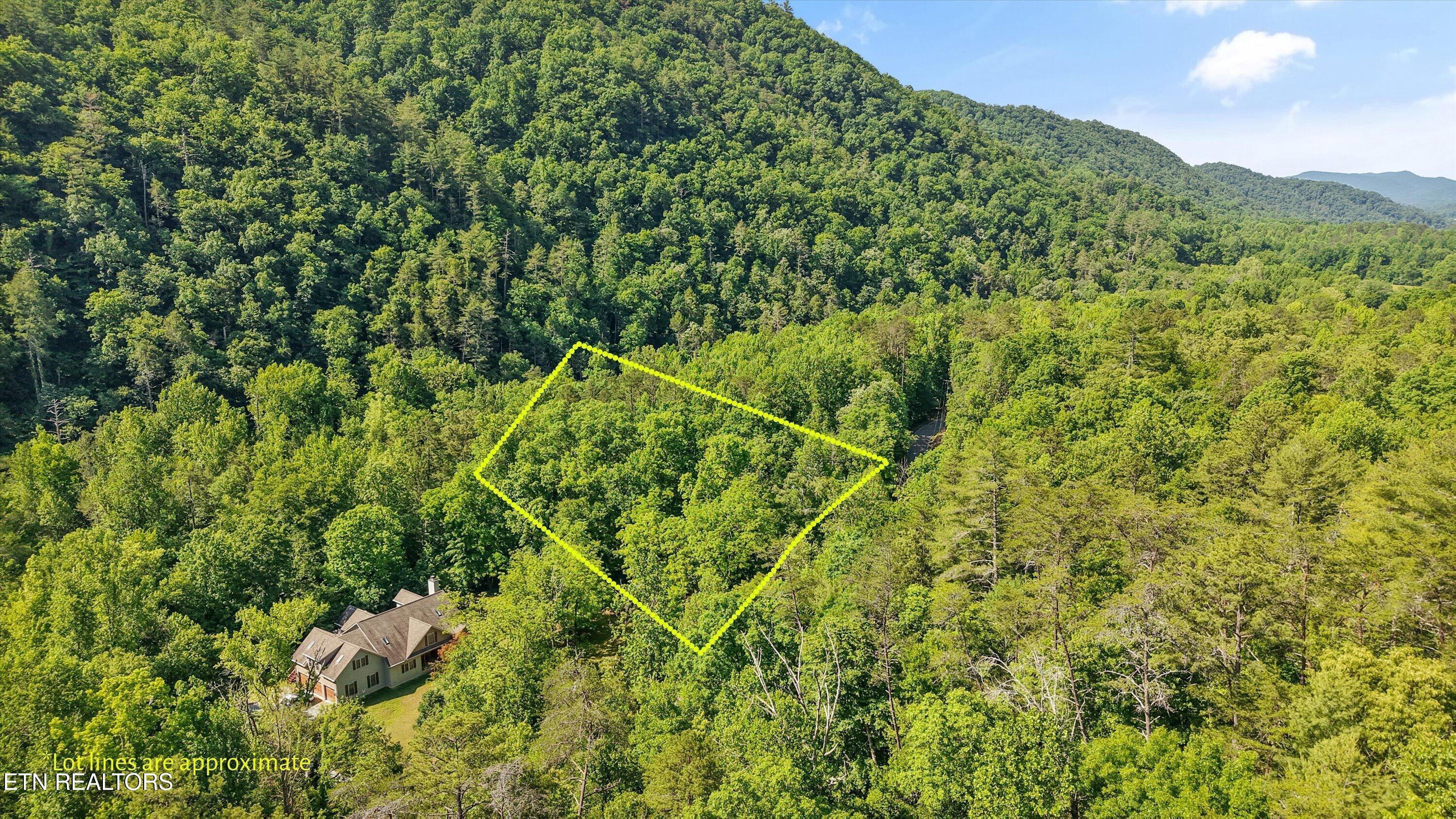 1322 E Millers Cove Road Walland TN 37886