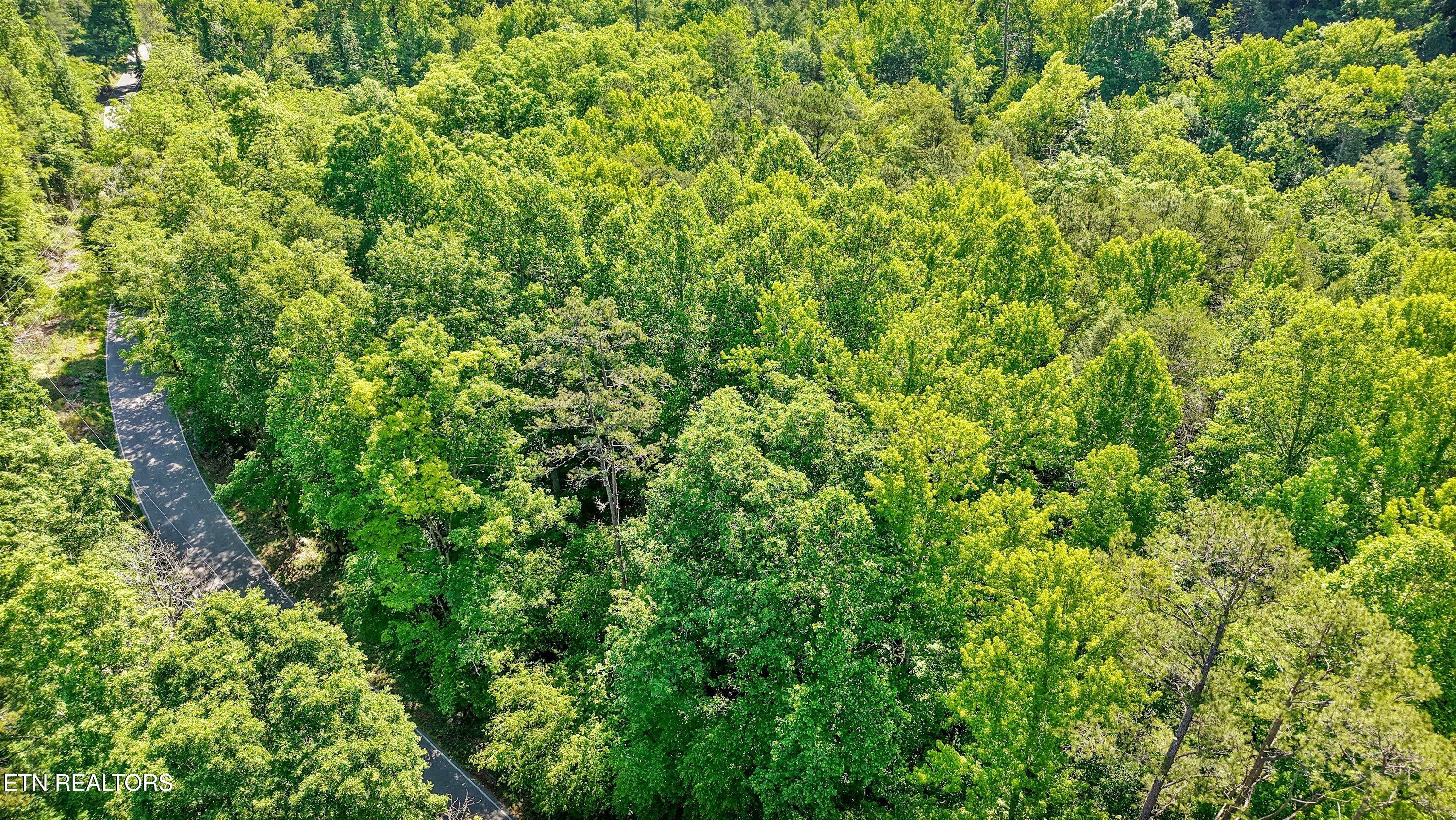 1322 E Millers Cove Road Walland TN 37886