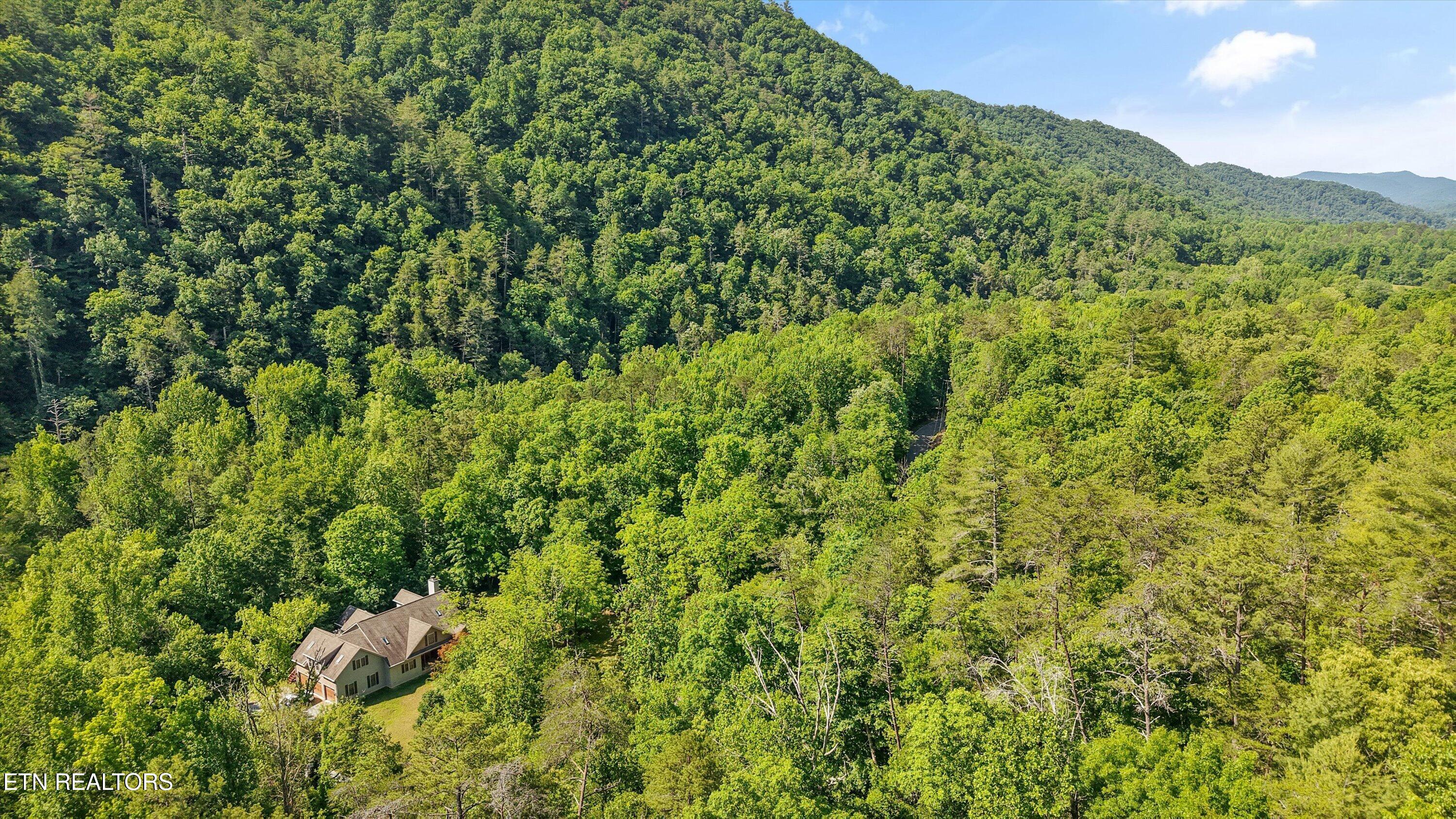 1322 E Millers Cove Road Walland TN 37886