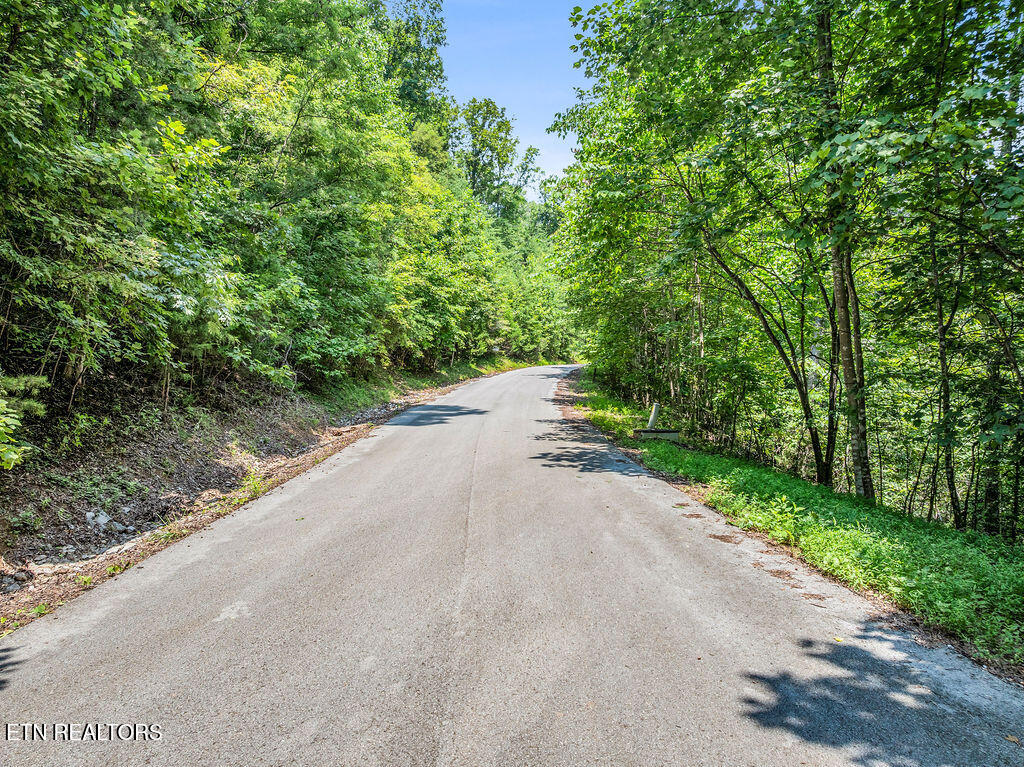 Lot 453 Silver Trail New Tazewell TN 37825