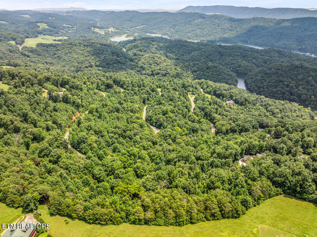 Lot 453 Silver Trail New Tazewell TN 37825
