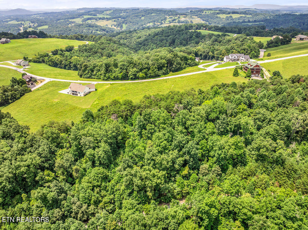 Lot 453 Silver Trail New Tazewell TN 37825