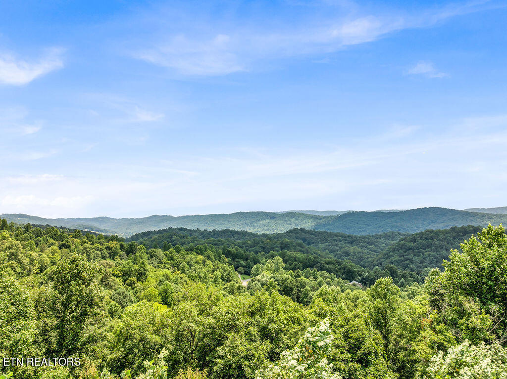 Lot 453 Silver Trail New Tazewell TN 37825