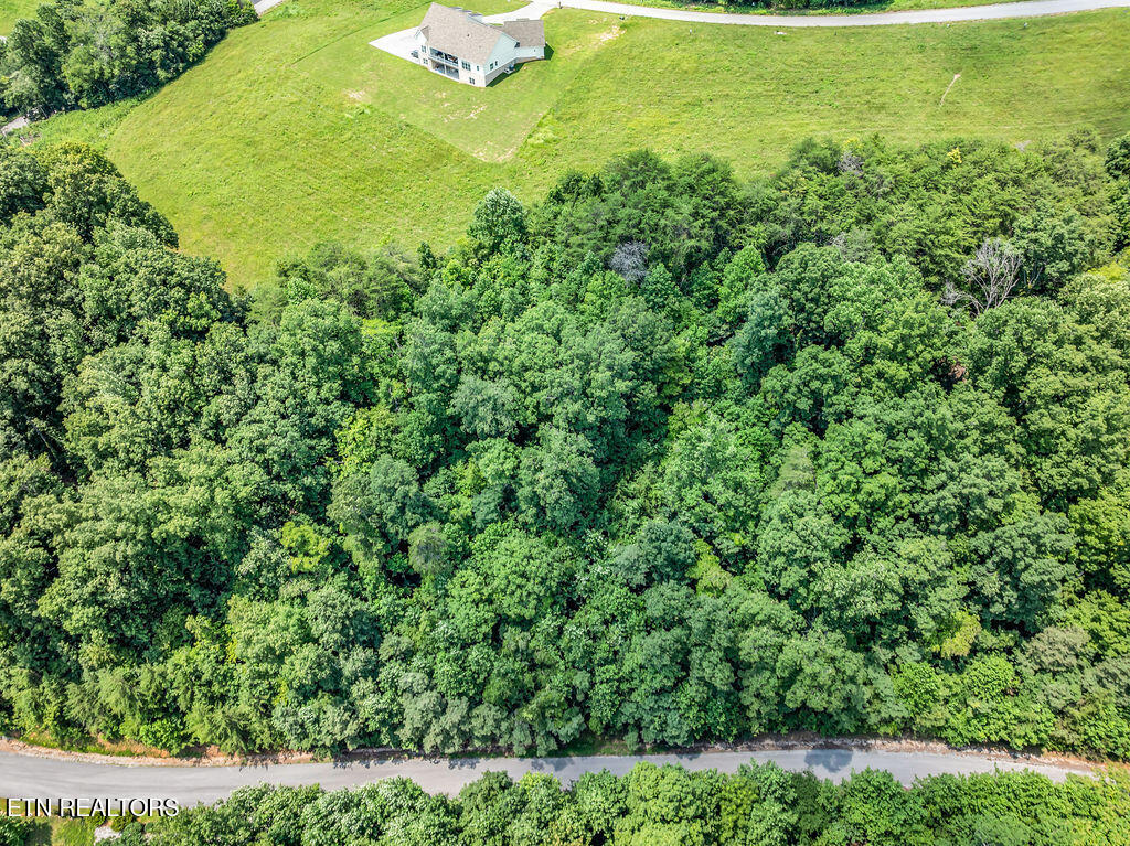 Lot 453 Silver Trail New Tazewell TN 37825
