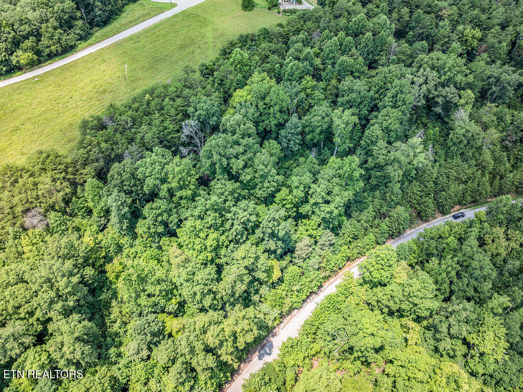 Lot 453 Silver Trail New Tazewell TN 37825