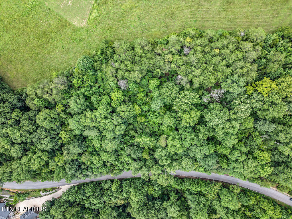 Lot 453 Silver Trail New Tazewell TN 37825