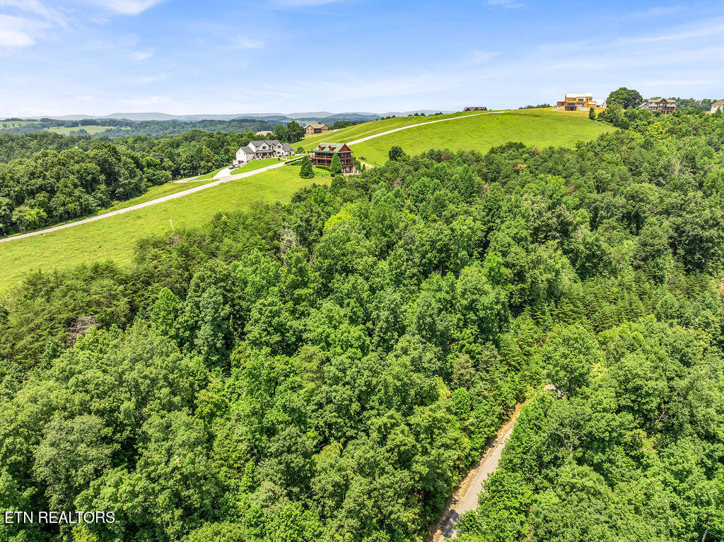 Lot 453 Silver Trail New Tazewell TN 37825