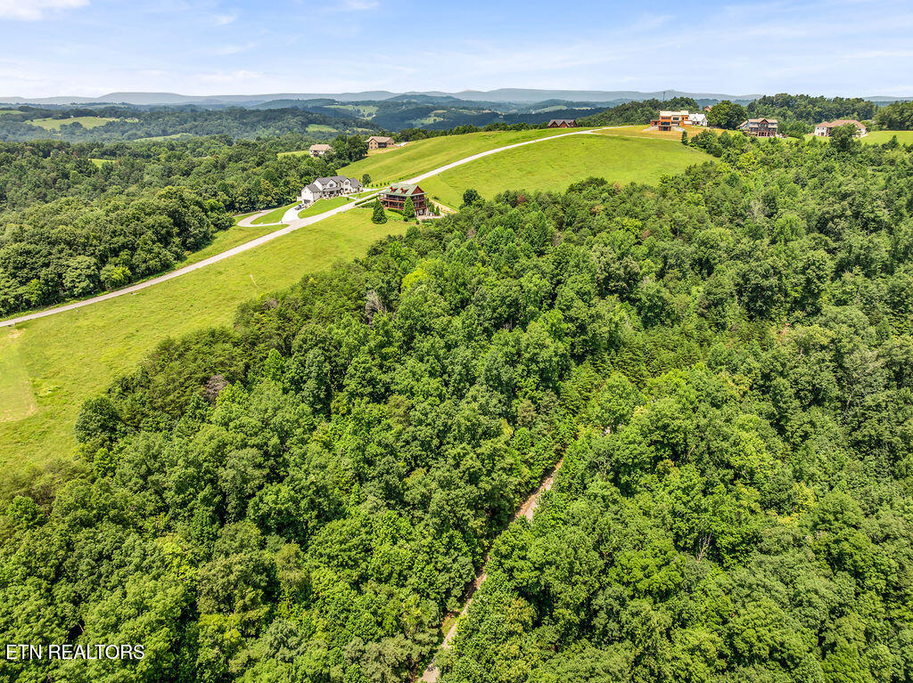 Lot 453 Silver Trail New Tazewell TN 37825