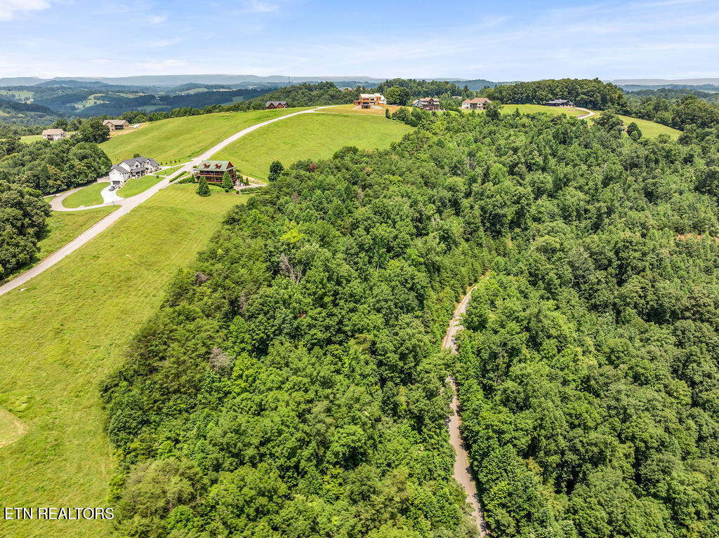 Lot 453 Silver Trail New Tazewell TN 37825
