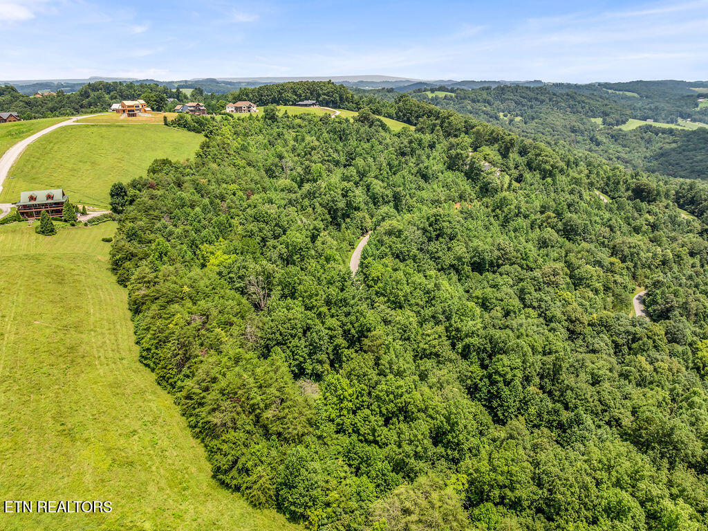 Lot 453 Silver Trail New Tazewell TN 37825