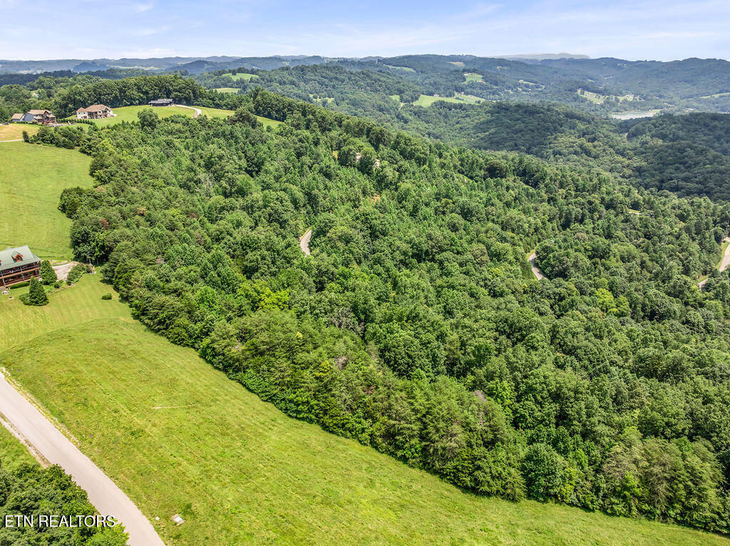 Lot 453 Silver Trail New Tazewell TN 37825
