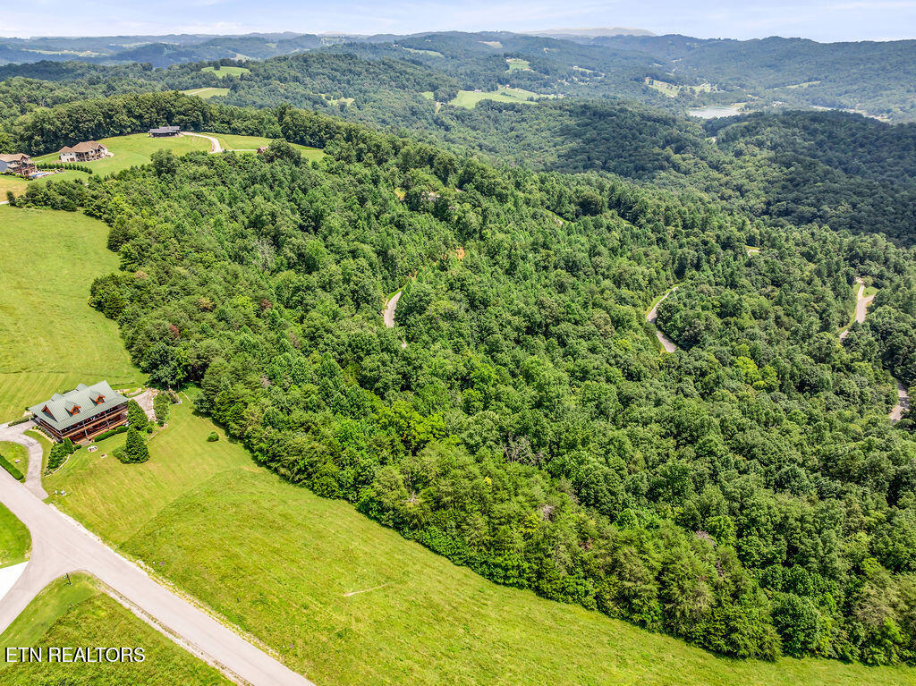 Lot 453 Silver Trail New Tazewell TN 37825