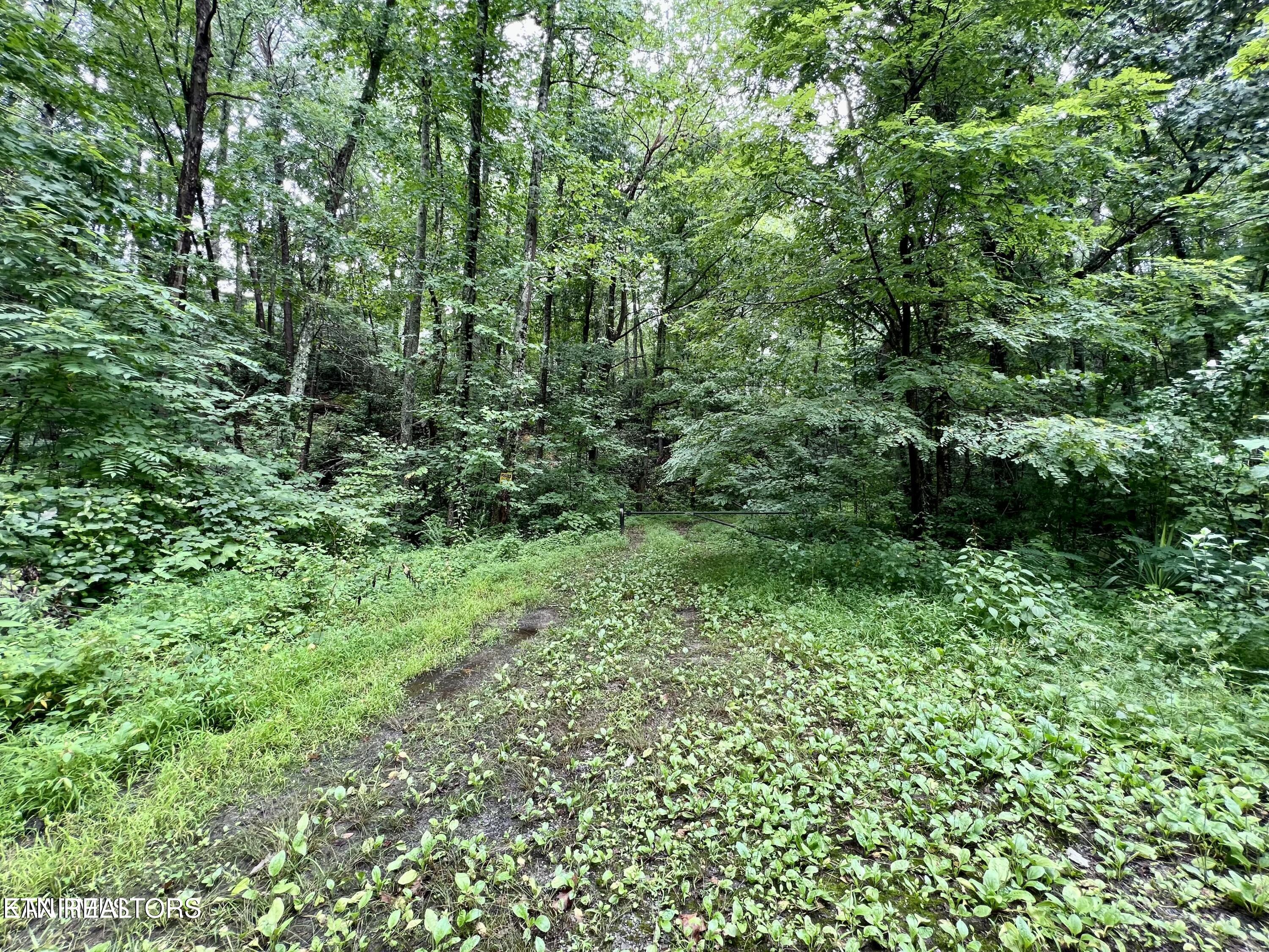 Sycamore Street Sevierville TN 37876