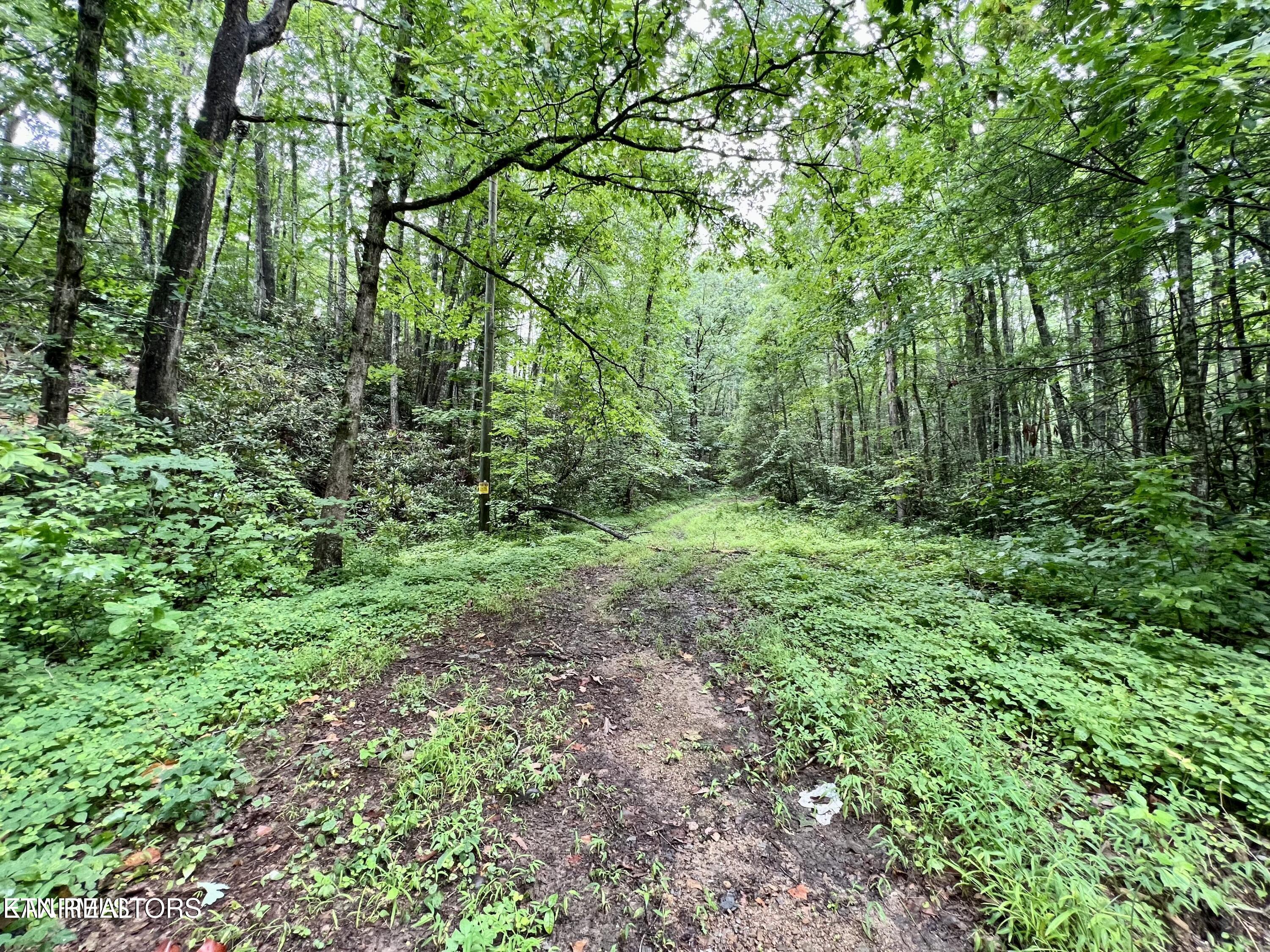 Sycamore Street Sevierville TN 37876