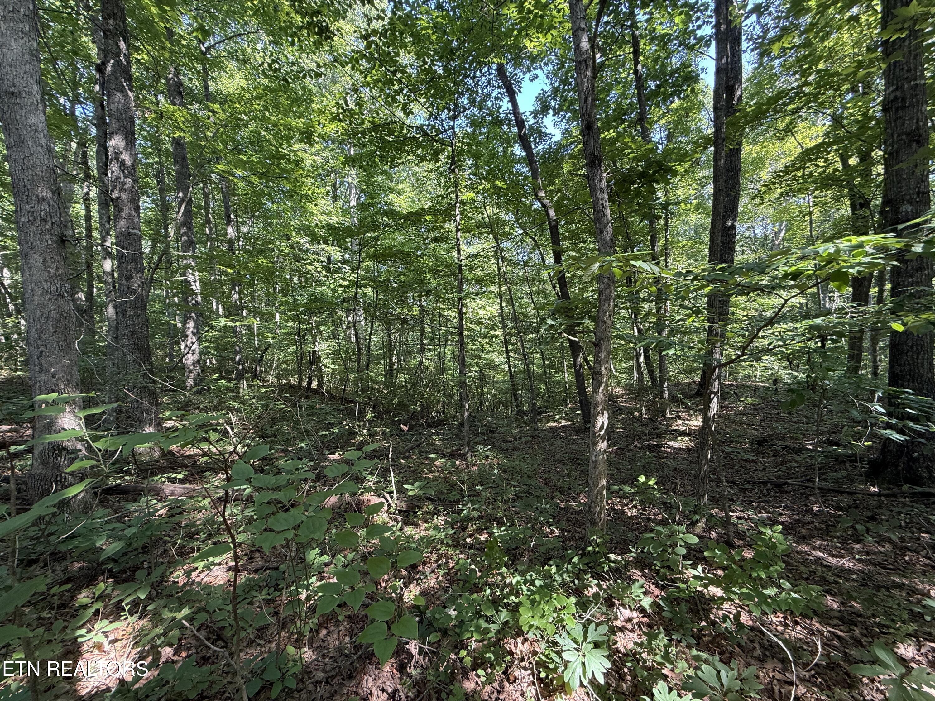 Lot 2 E Cove Road Monterey TN 38574