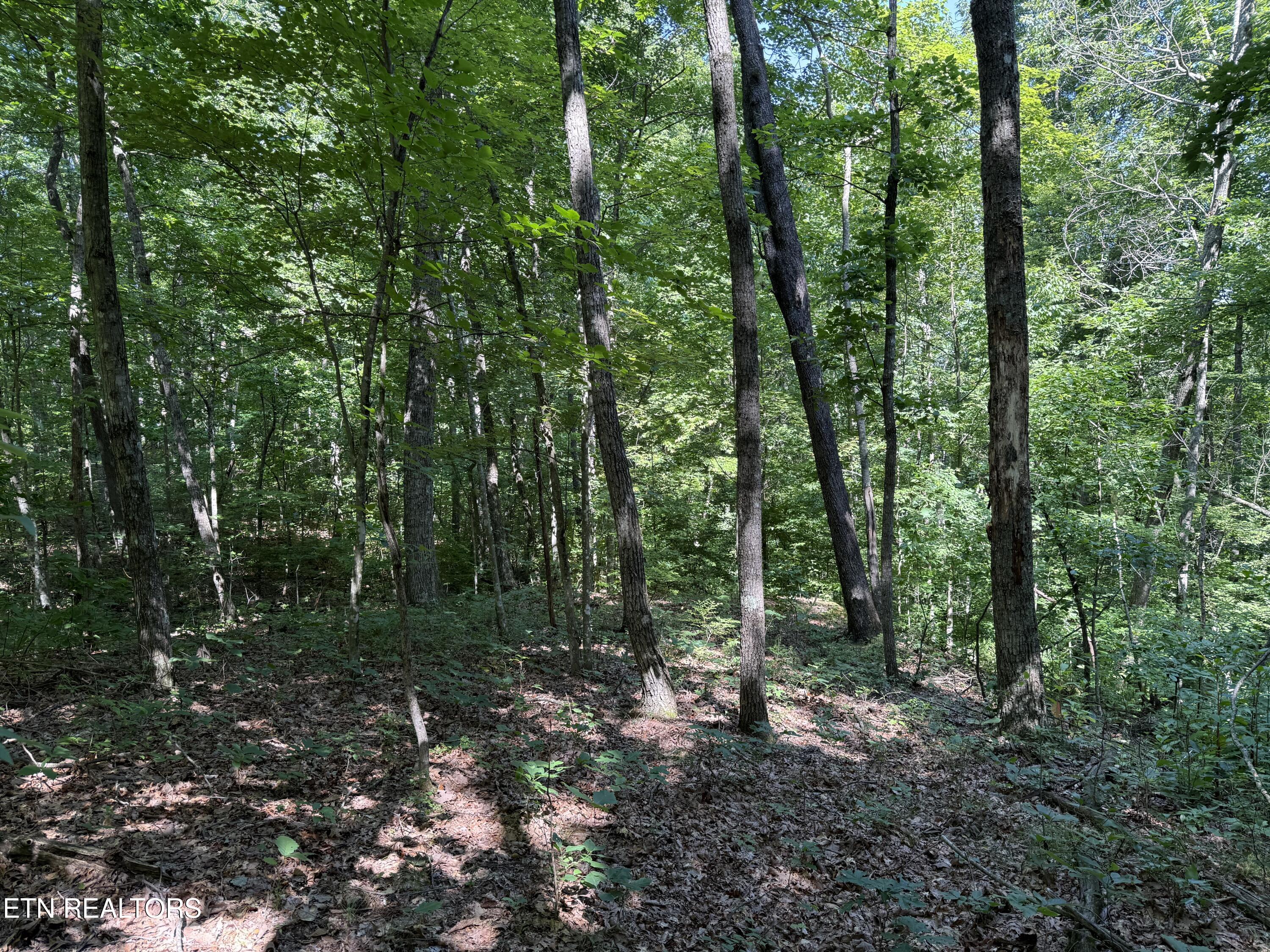 Lot 2 E Cove Road Monterey TN 38574