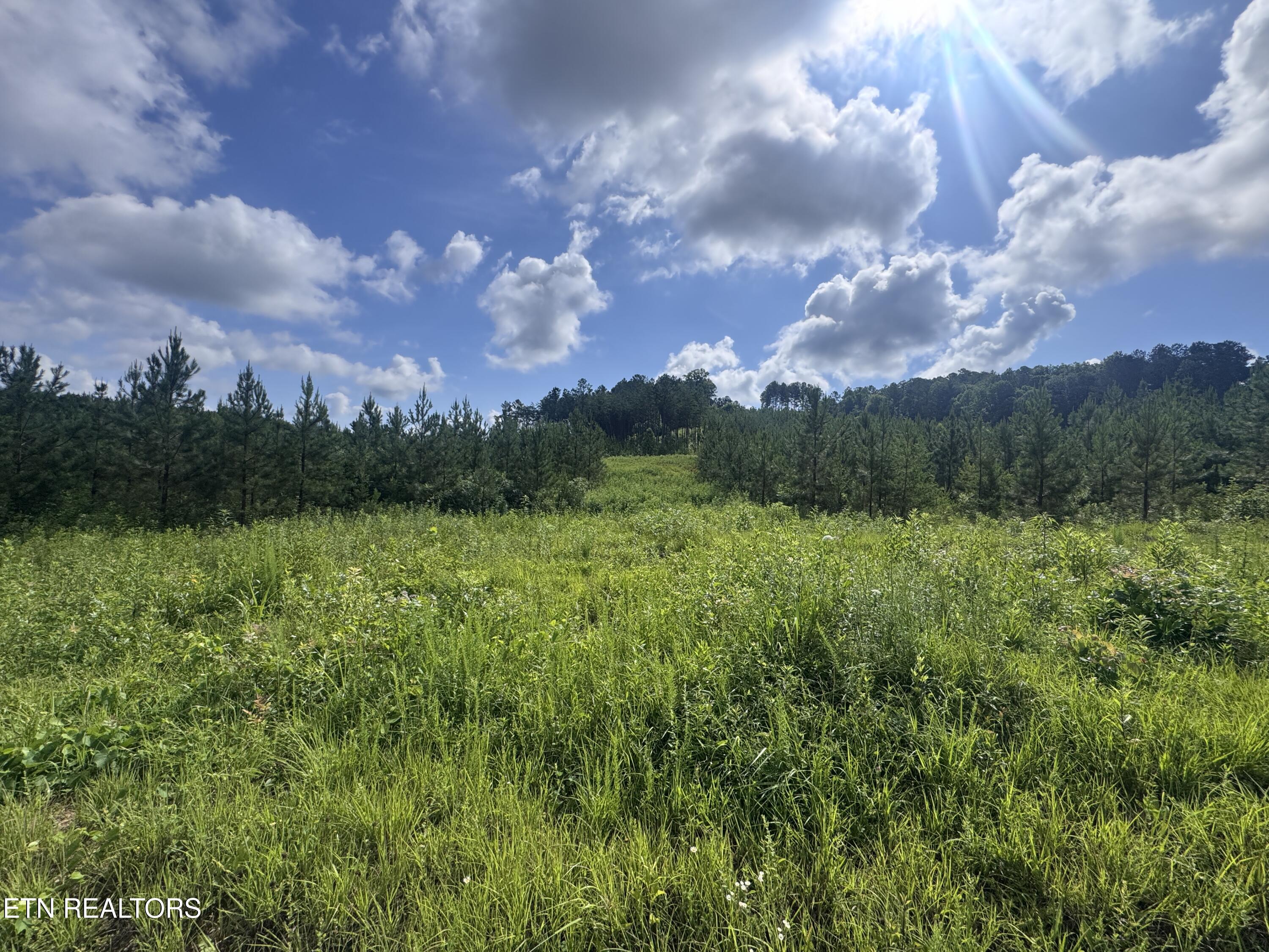 Lot 41 Three Point Road Madisonville TN 37354
