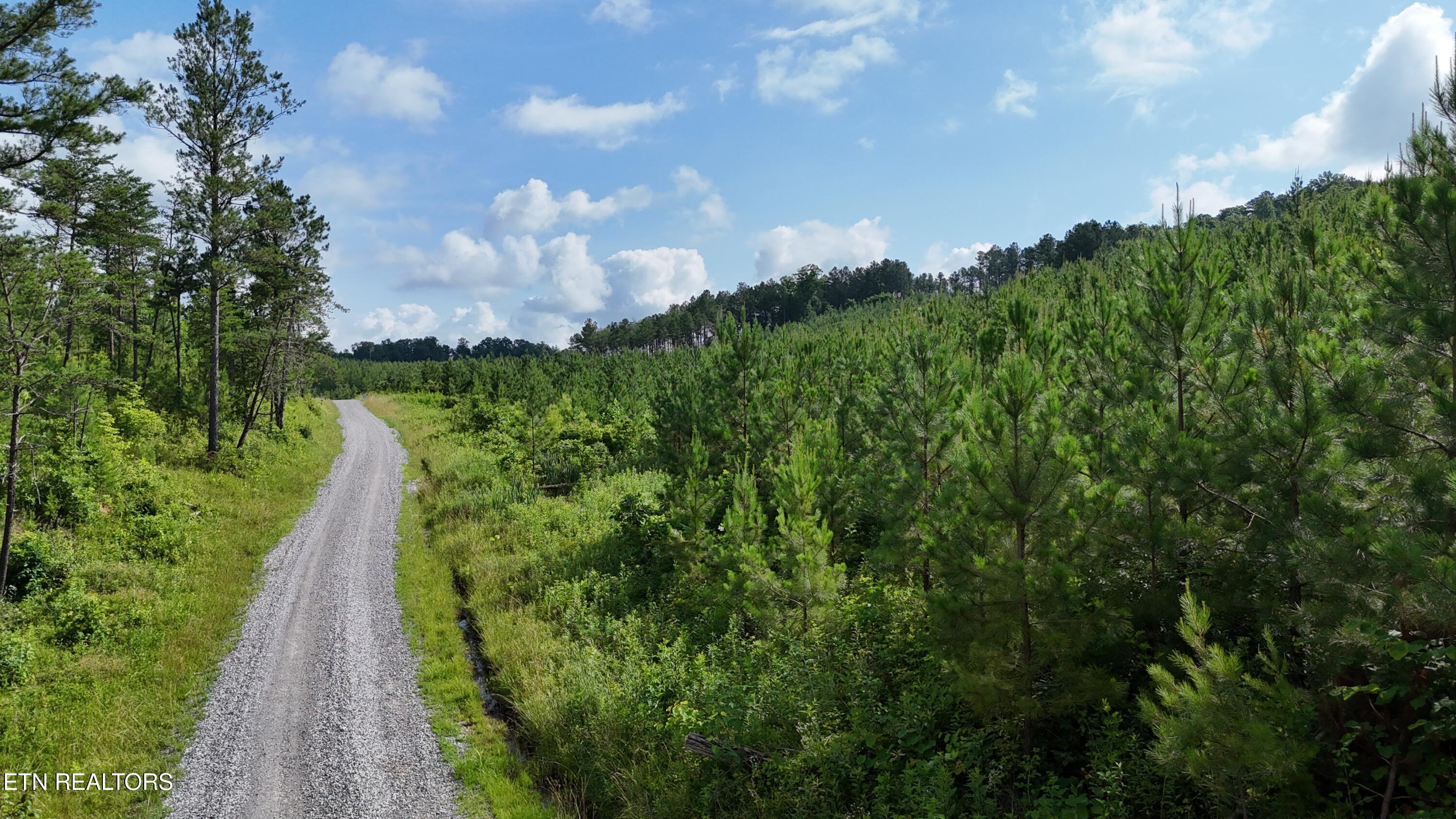 Lot 41 Three Point Road Madisonville TN 37354