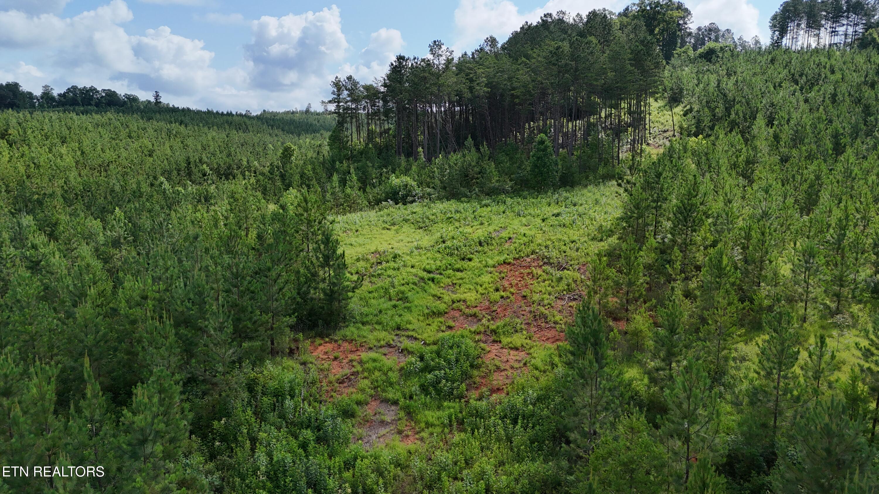 Lot 41 Three Point Road Madisonville TN 37354