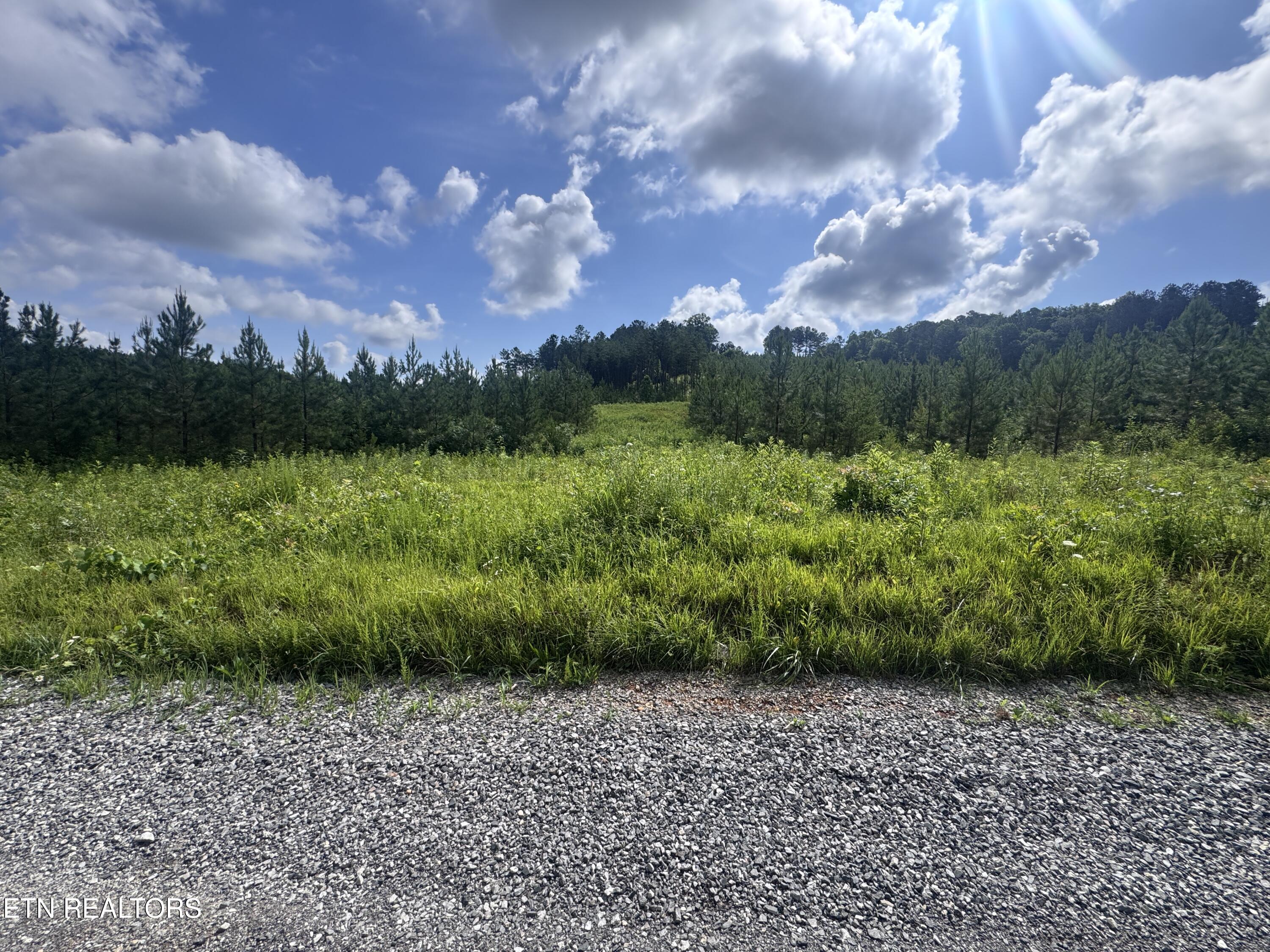 Lot 41 Three Point Road Madisonville TN 37354