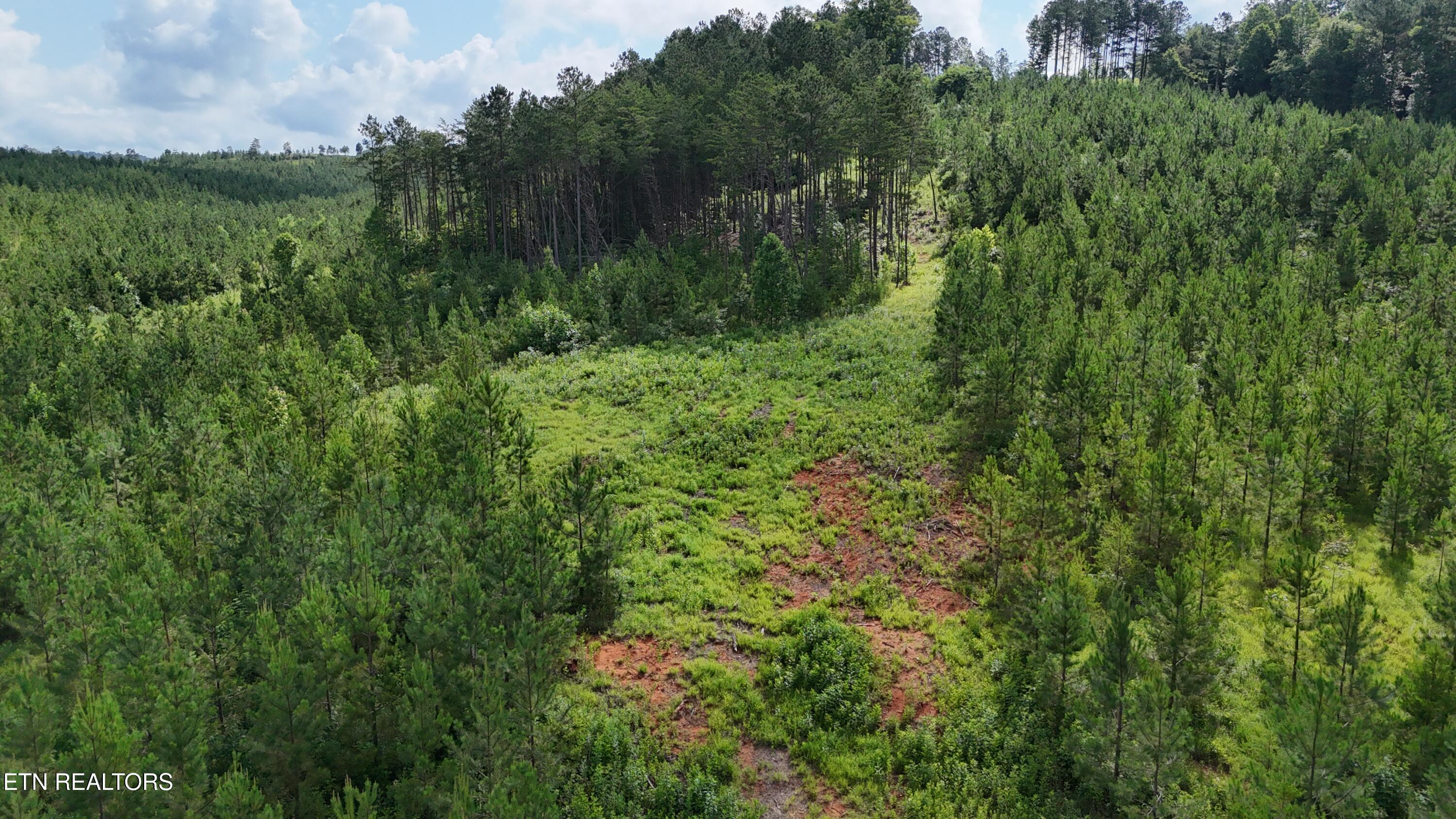 Lot 41 Three Point Road Madisonville TN 37354