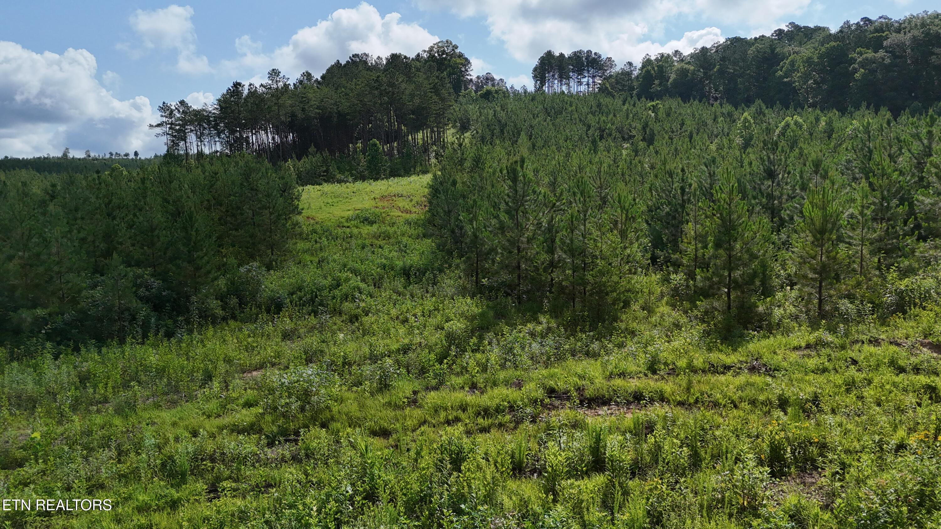 Lot 41 Three Point Road Madisonville TN 37354