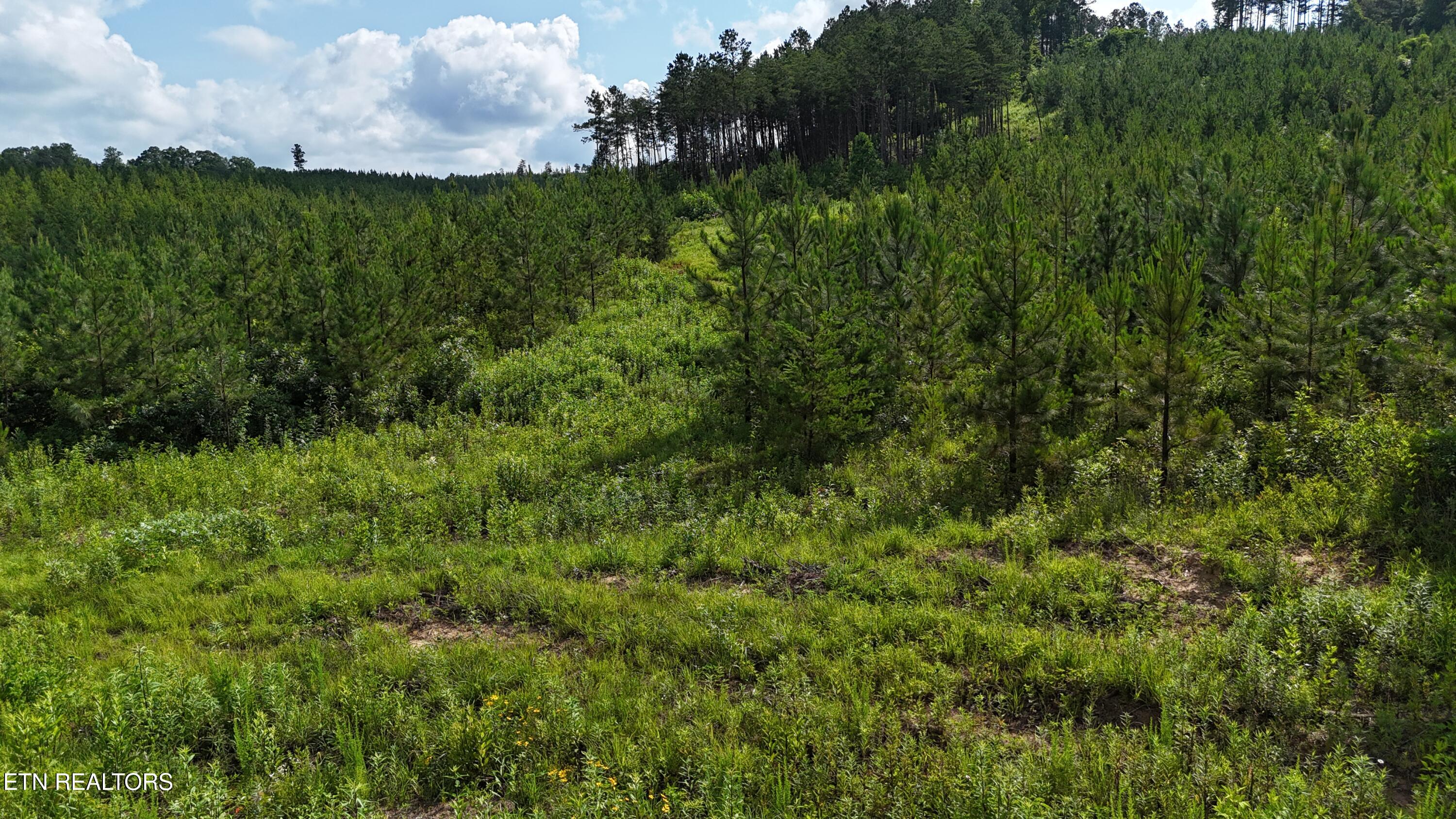 Lot 41 Three Point Road Madisonville TN 37354